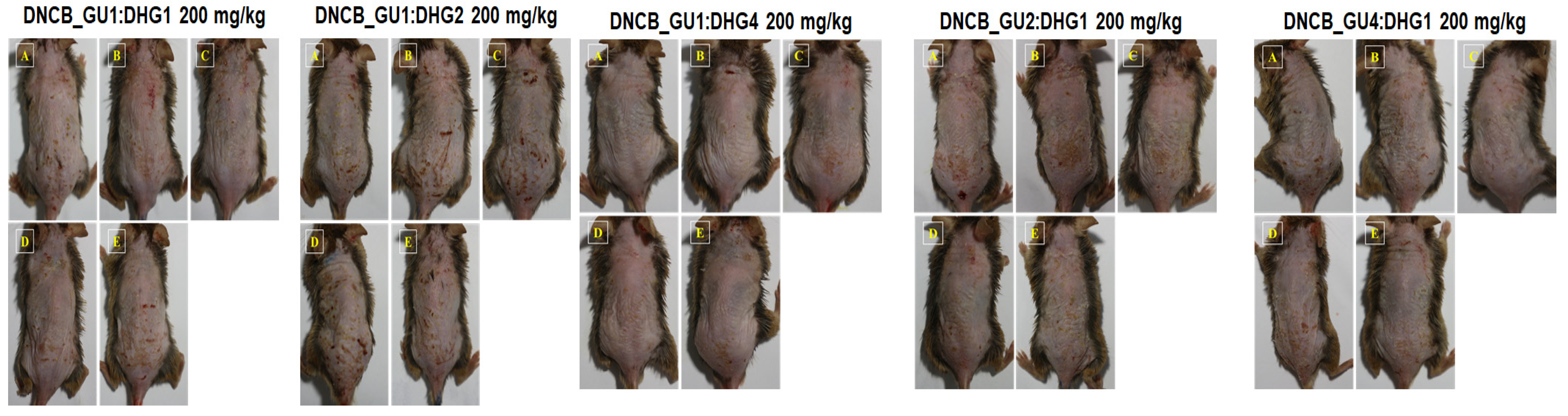 Nutrients 15 02094 g003b Nutrients 15 02094 g003b