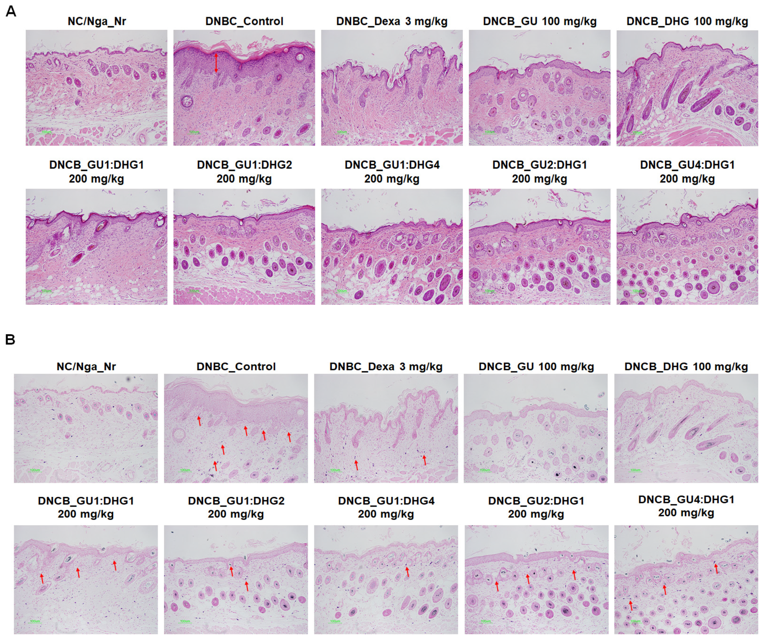 Nutrients 15 02094 g008 Nutrients 15 02094 g008