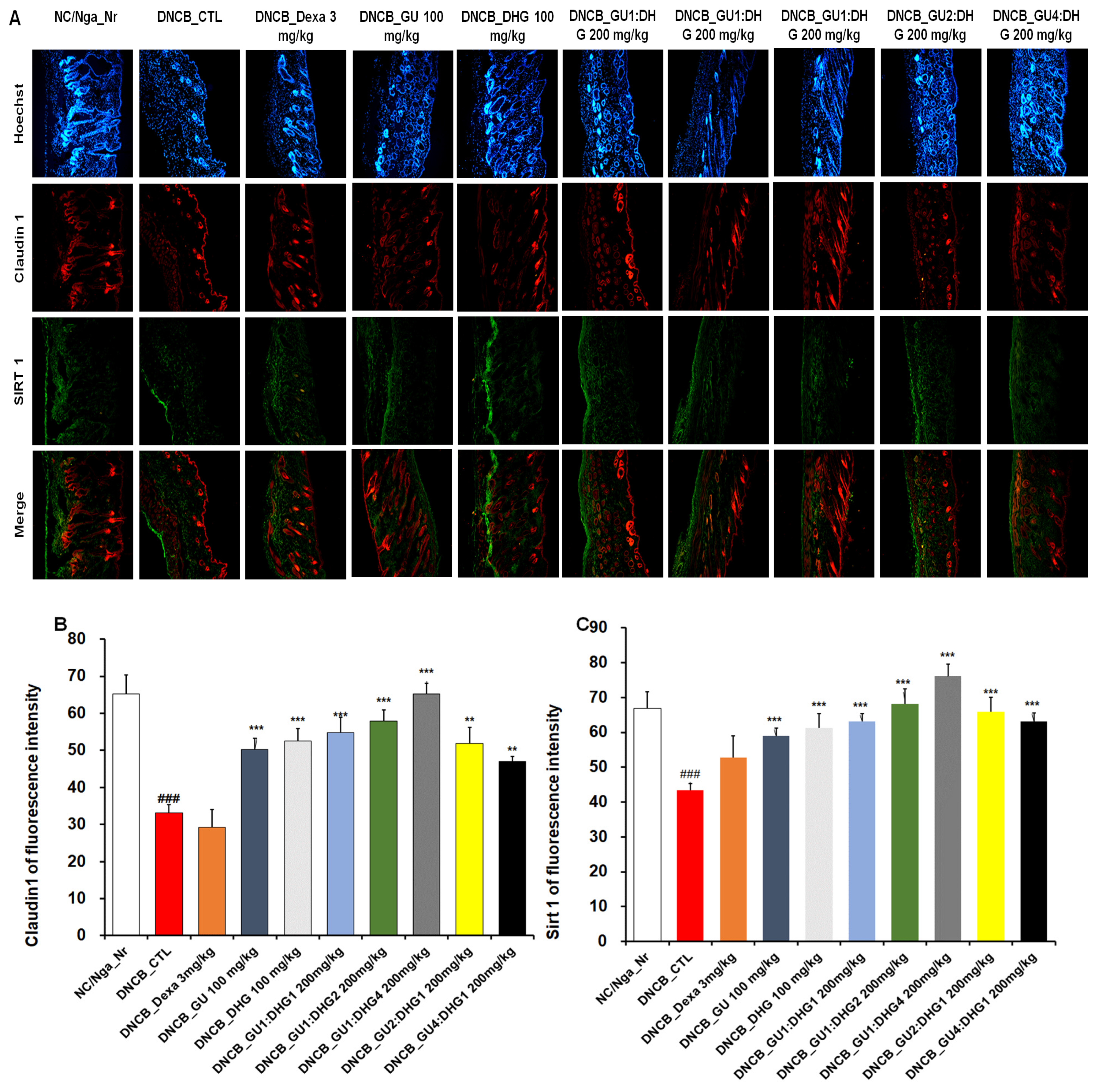 Nutrients 15 02094 g009 Nutrients 15 02094 g009
