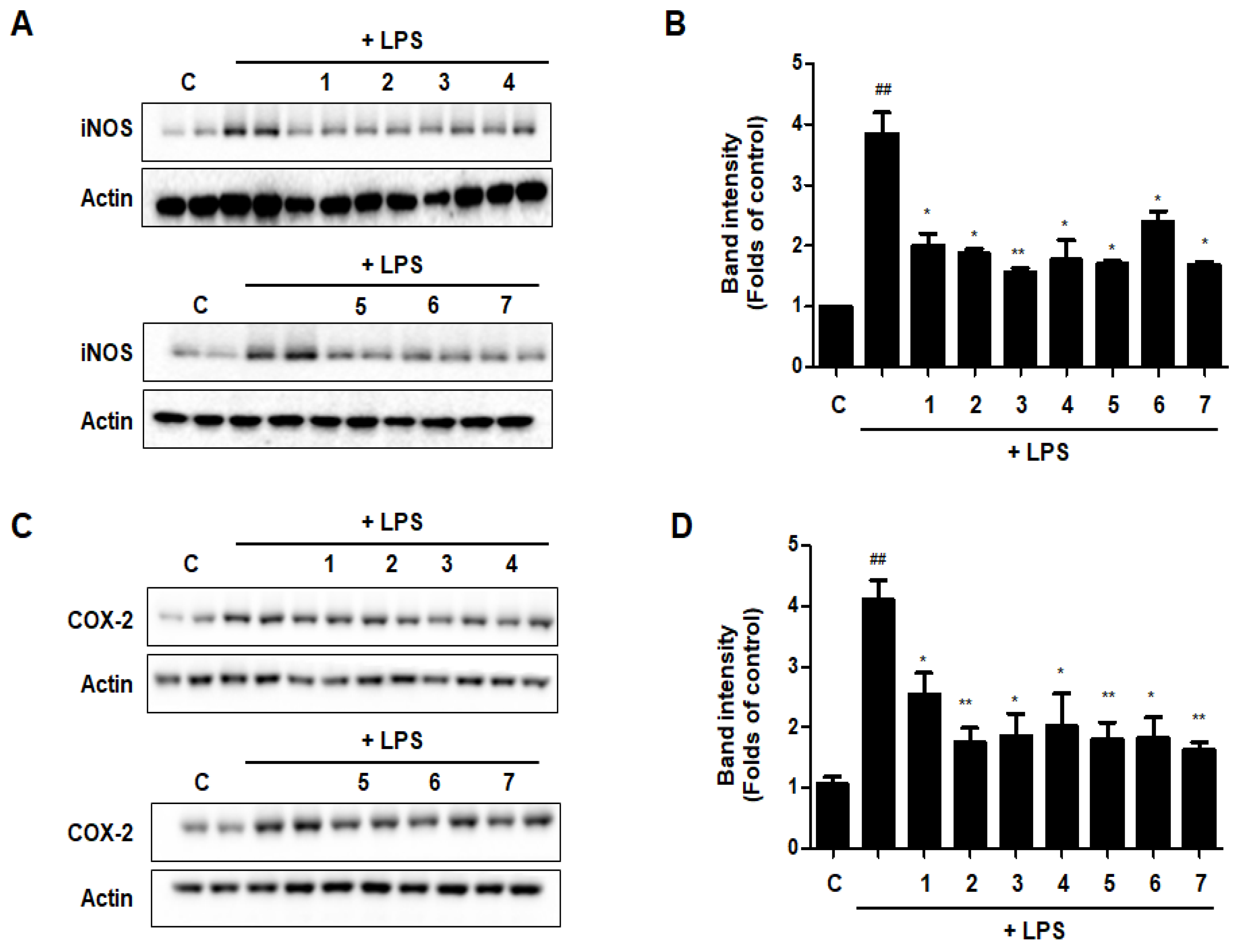 Nutrients 15 02094 g012 Nutrients 15 02094 g012
