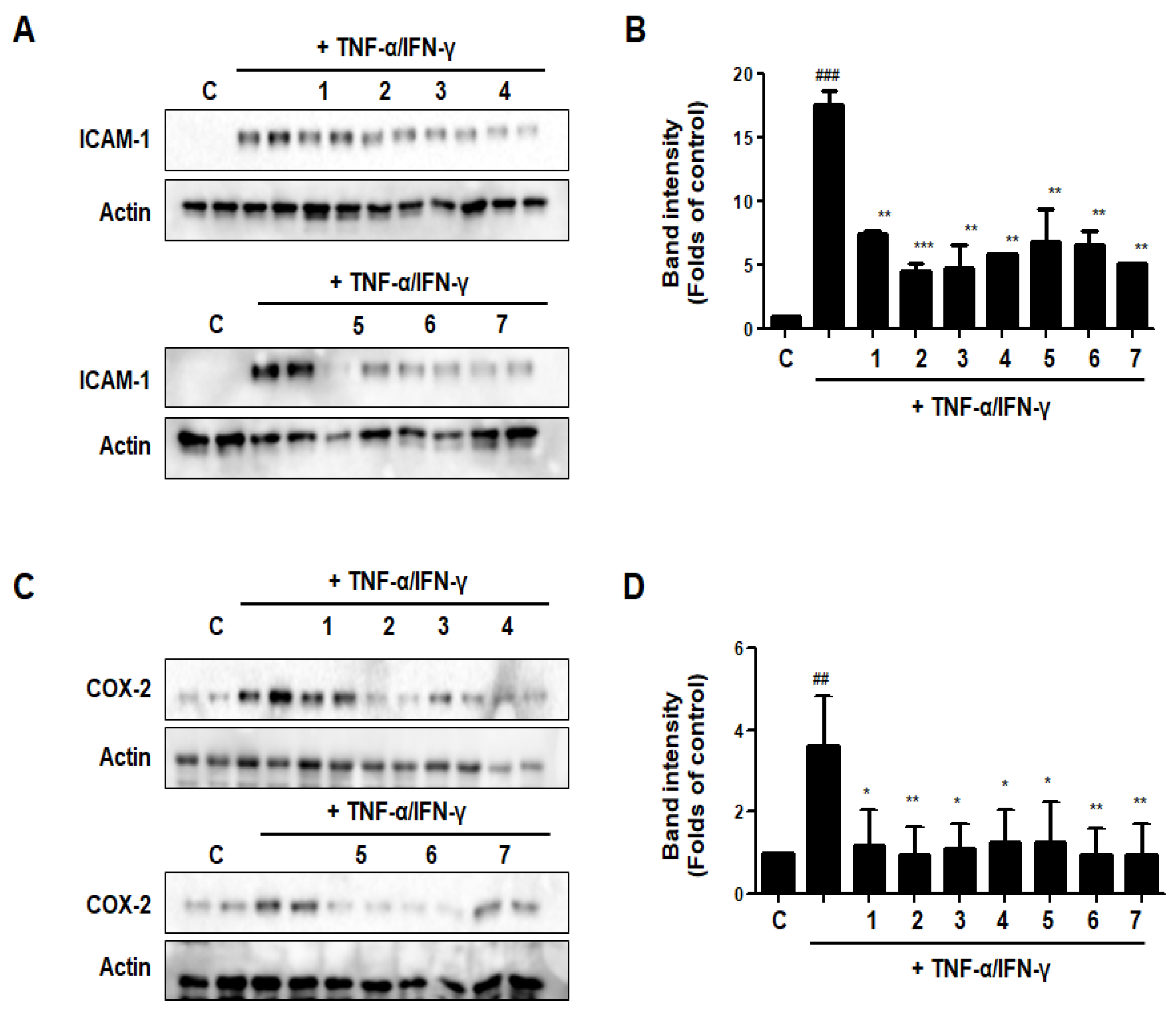 Nutrients 15 02094 g014 Nutrients 15 02094 g014