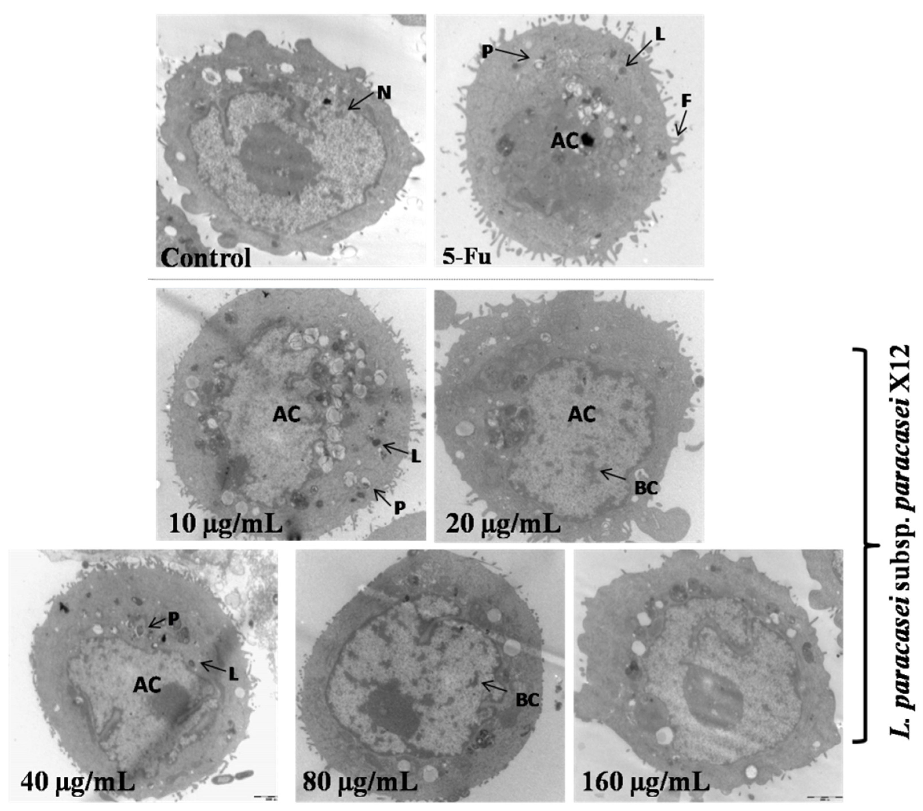 Nutrients 15 02123 g004 Nutrients 15 02123 g004