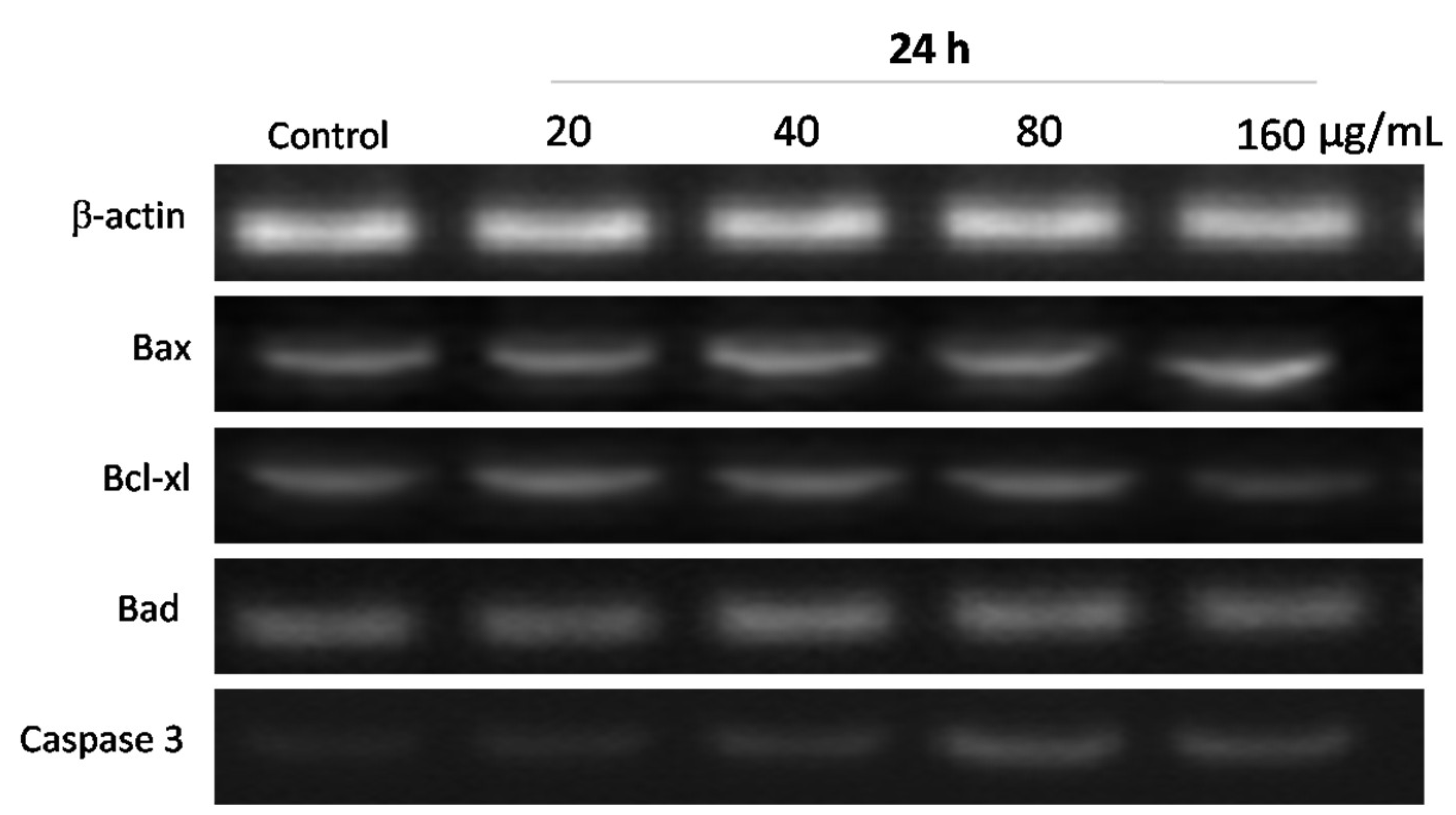 Nutrients 15 02123 g008 Nutrients 15 02123 g008
