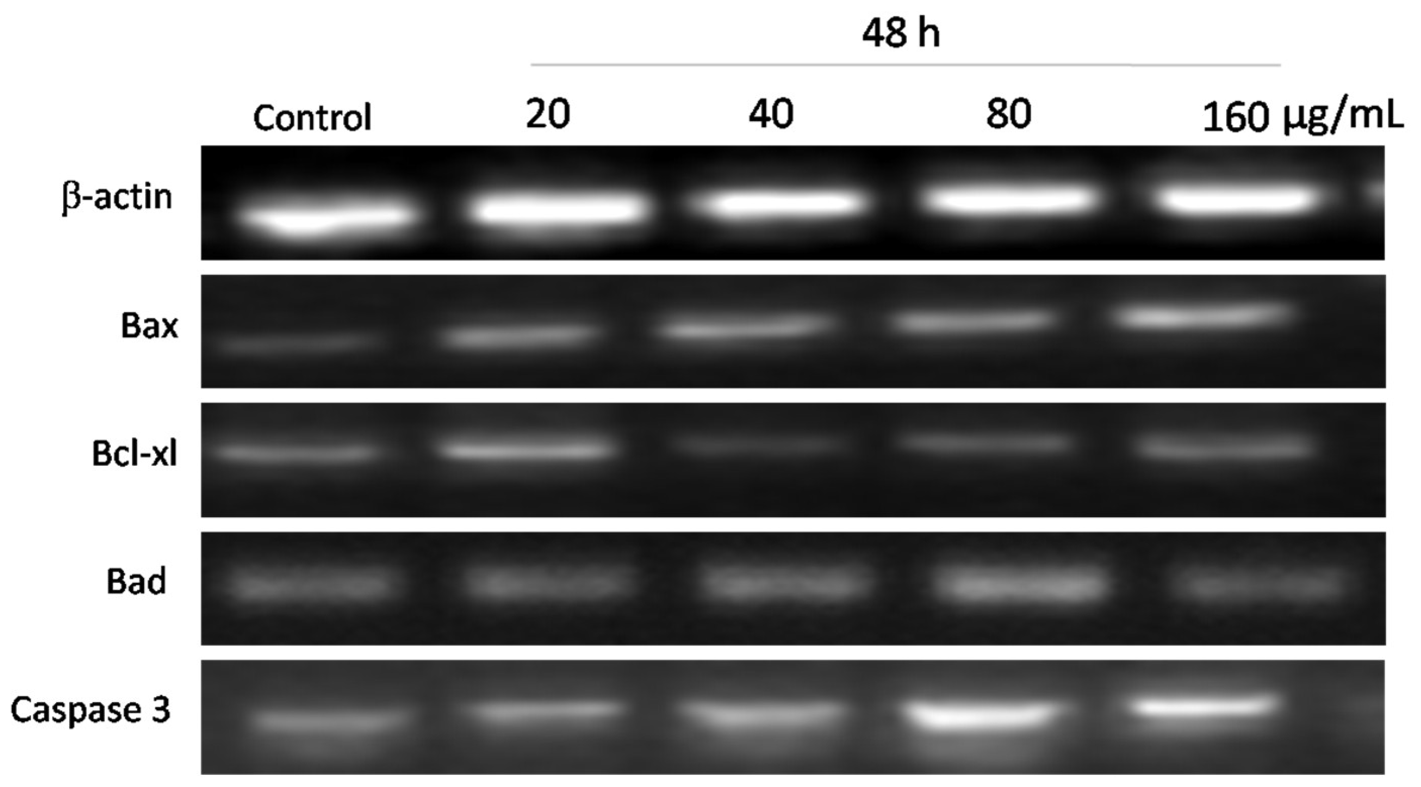 Nutrients 15 02123 g010 Nutrients 15 02123 g010
