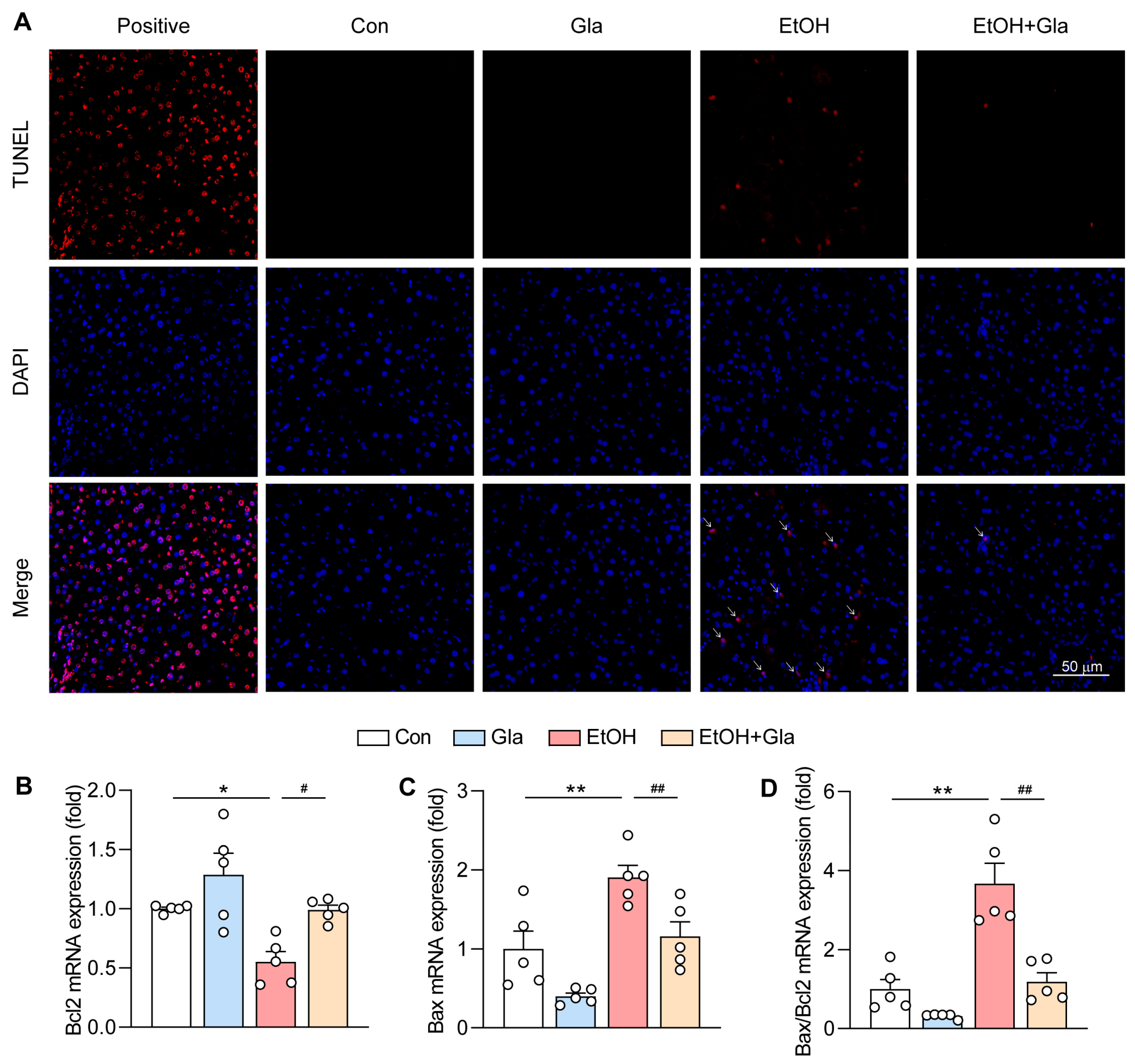 Nutrients 15 02157 g004