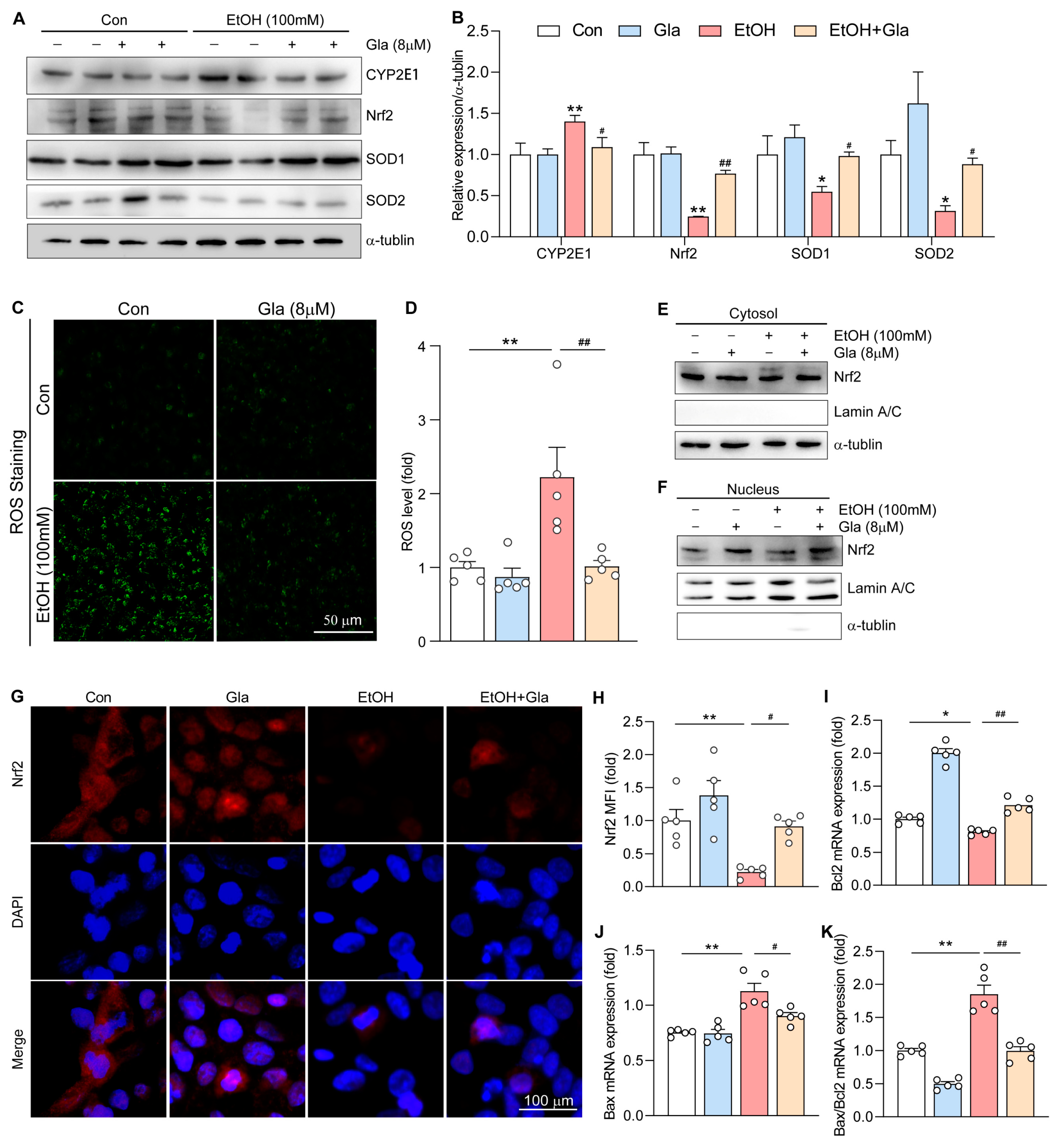Nutrients 15 02157 g007