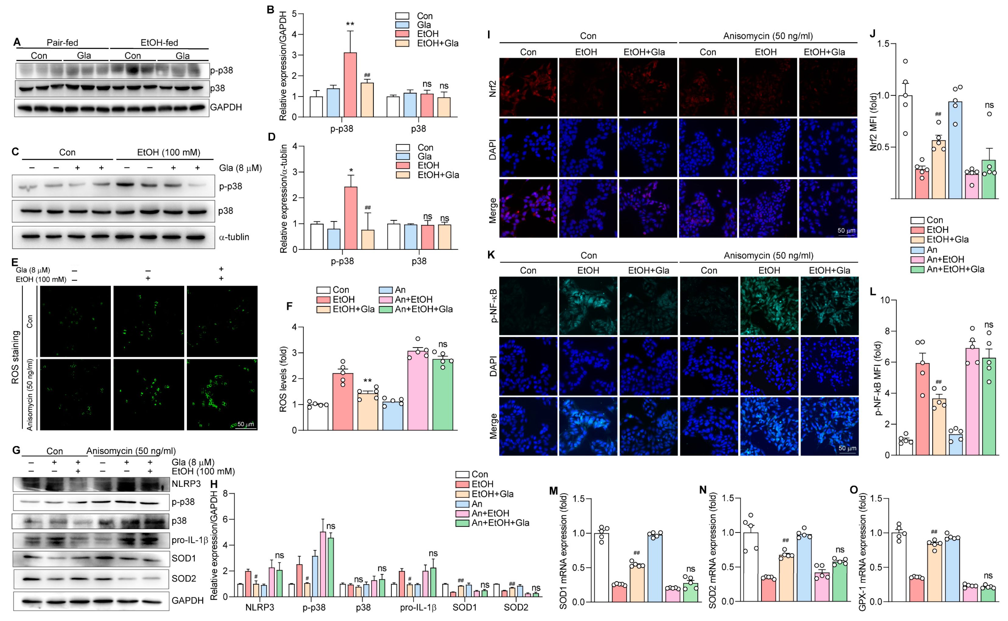 Nutrients 15 02157 g008