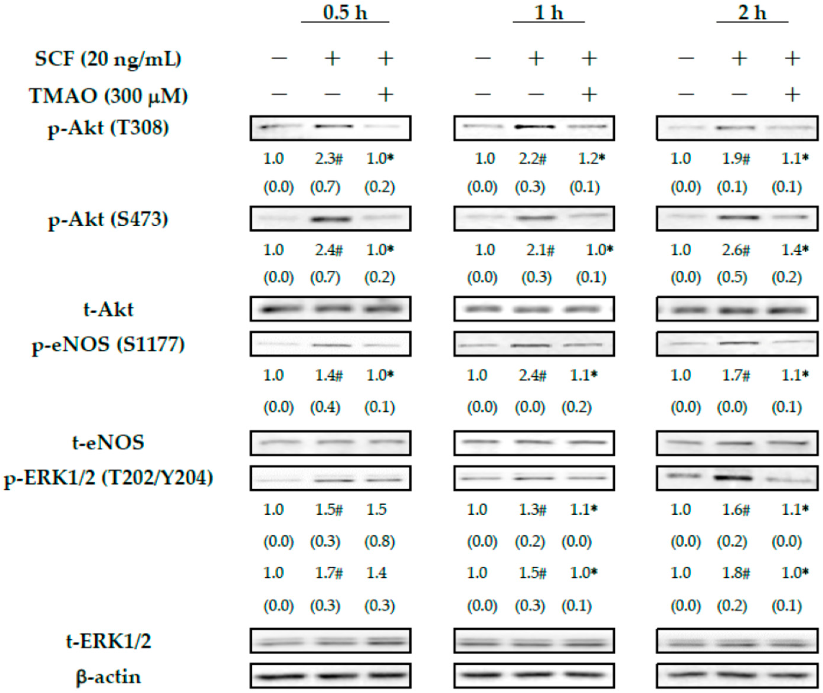 Nutrients 15 02190 g002