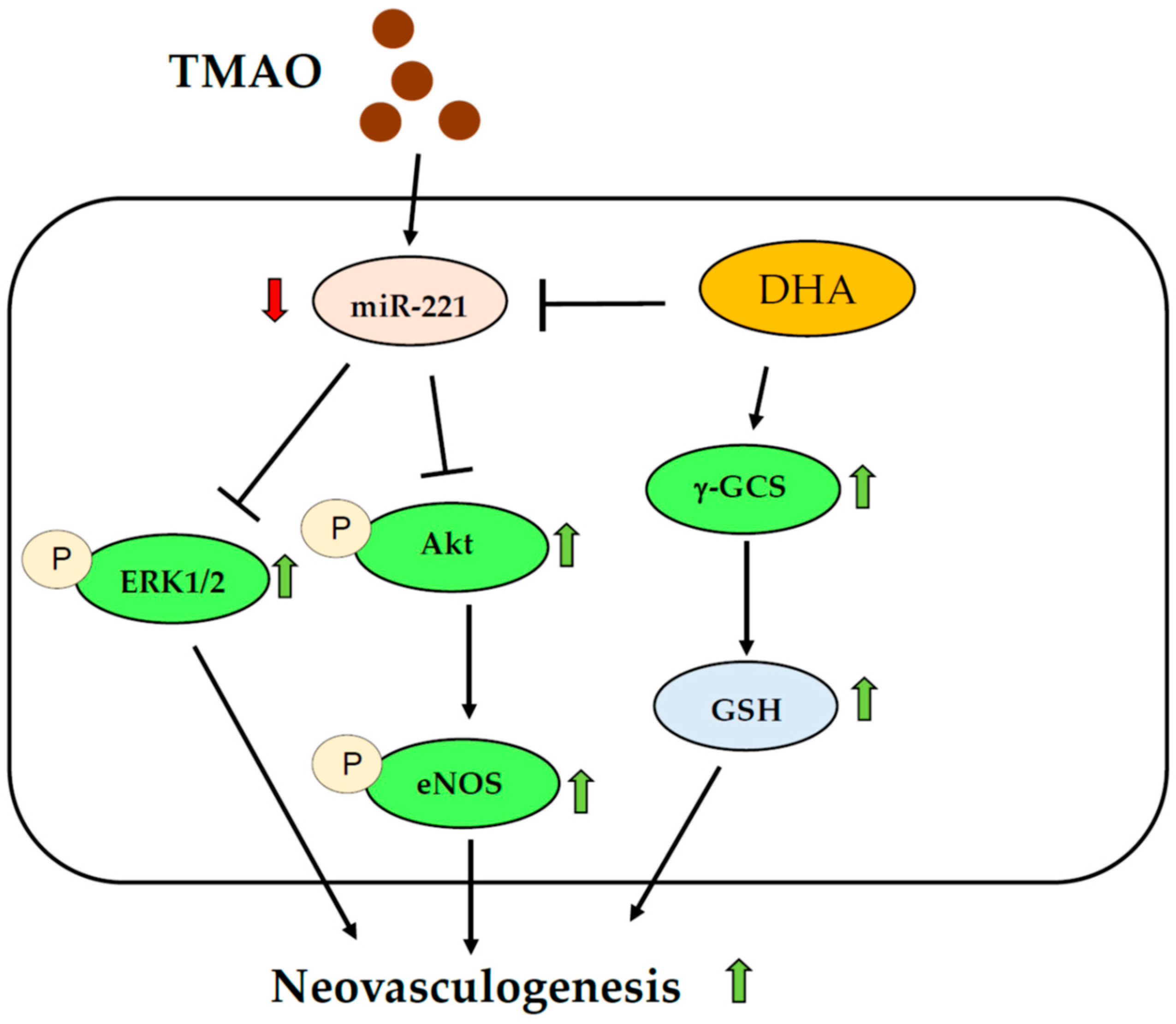 Nutrients 15 02190 g006
