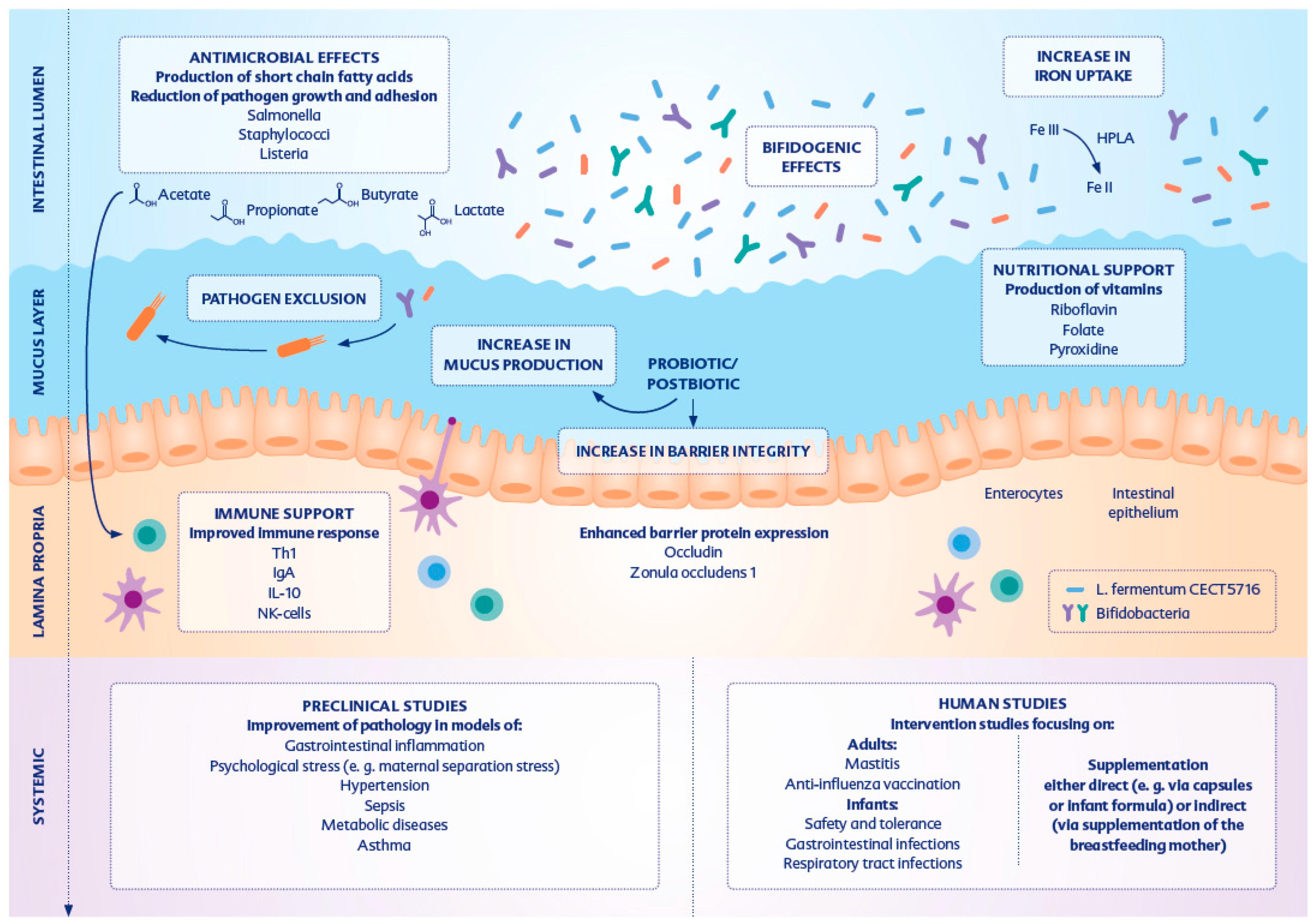 Nutrients 15 02207 g001 Nutrients 15 02207 g001