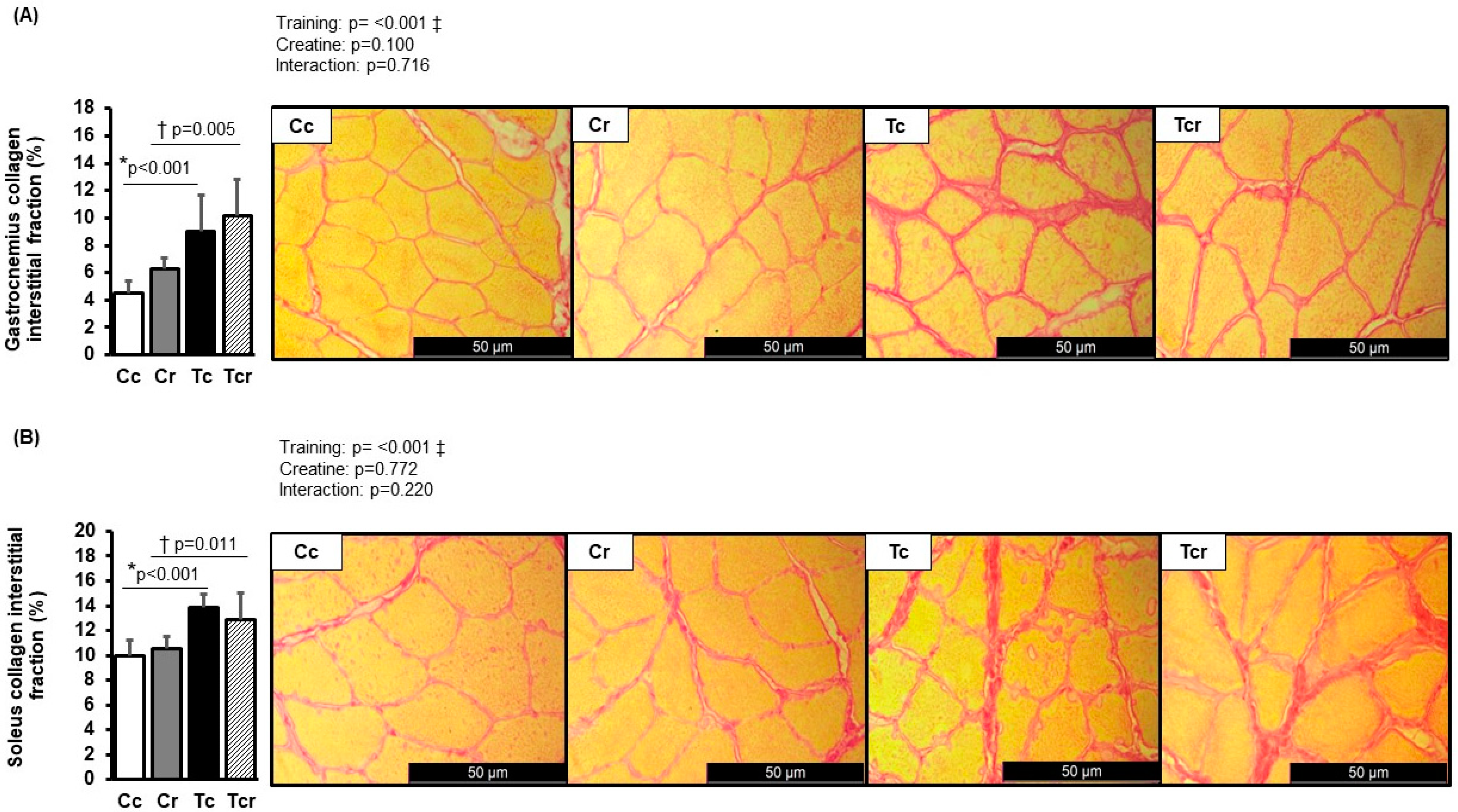 Nutrients 15 02224 g003 Nutrients 15 02224 g003