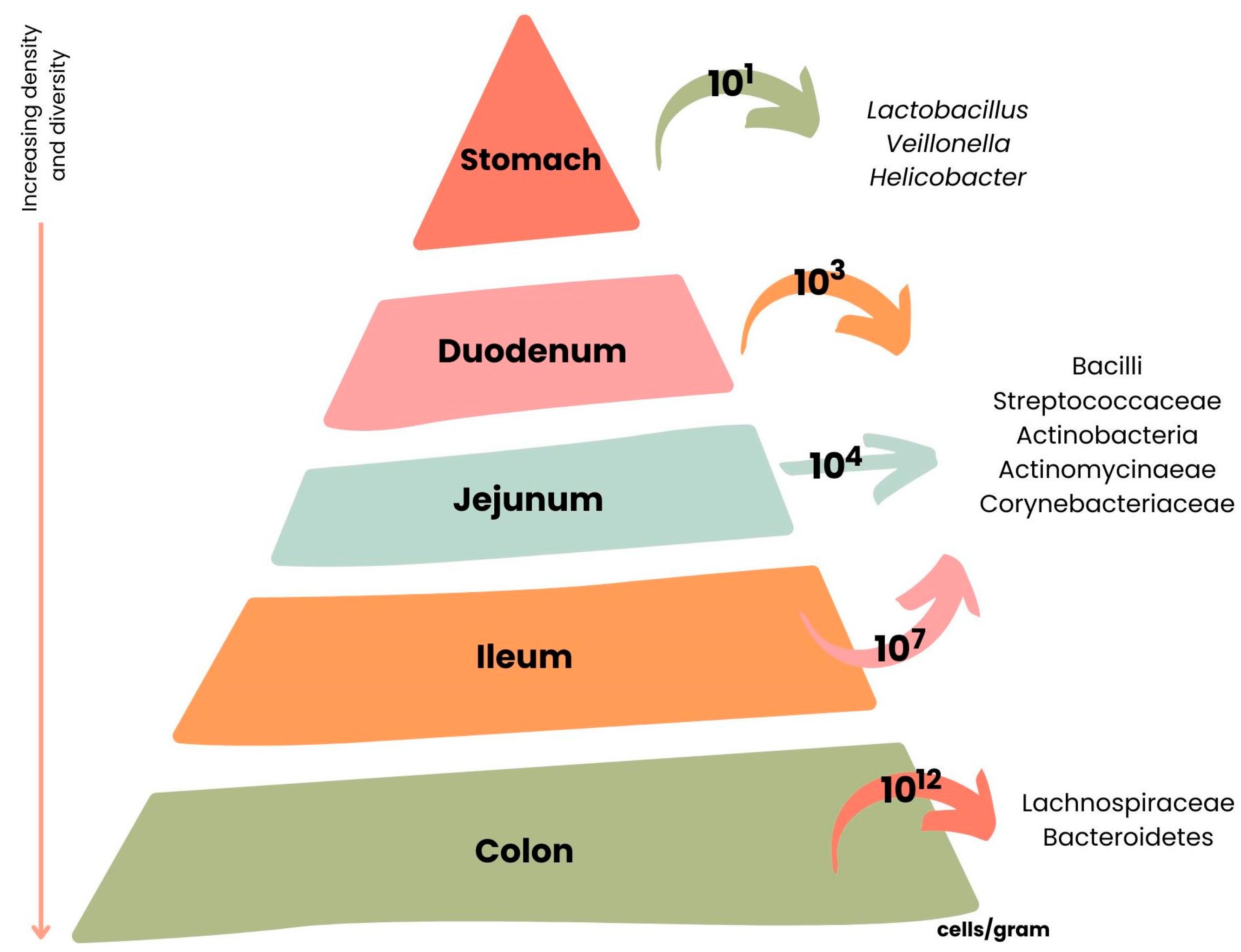 Nutrients 15 02265 g006