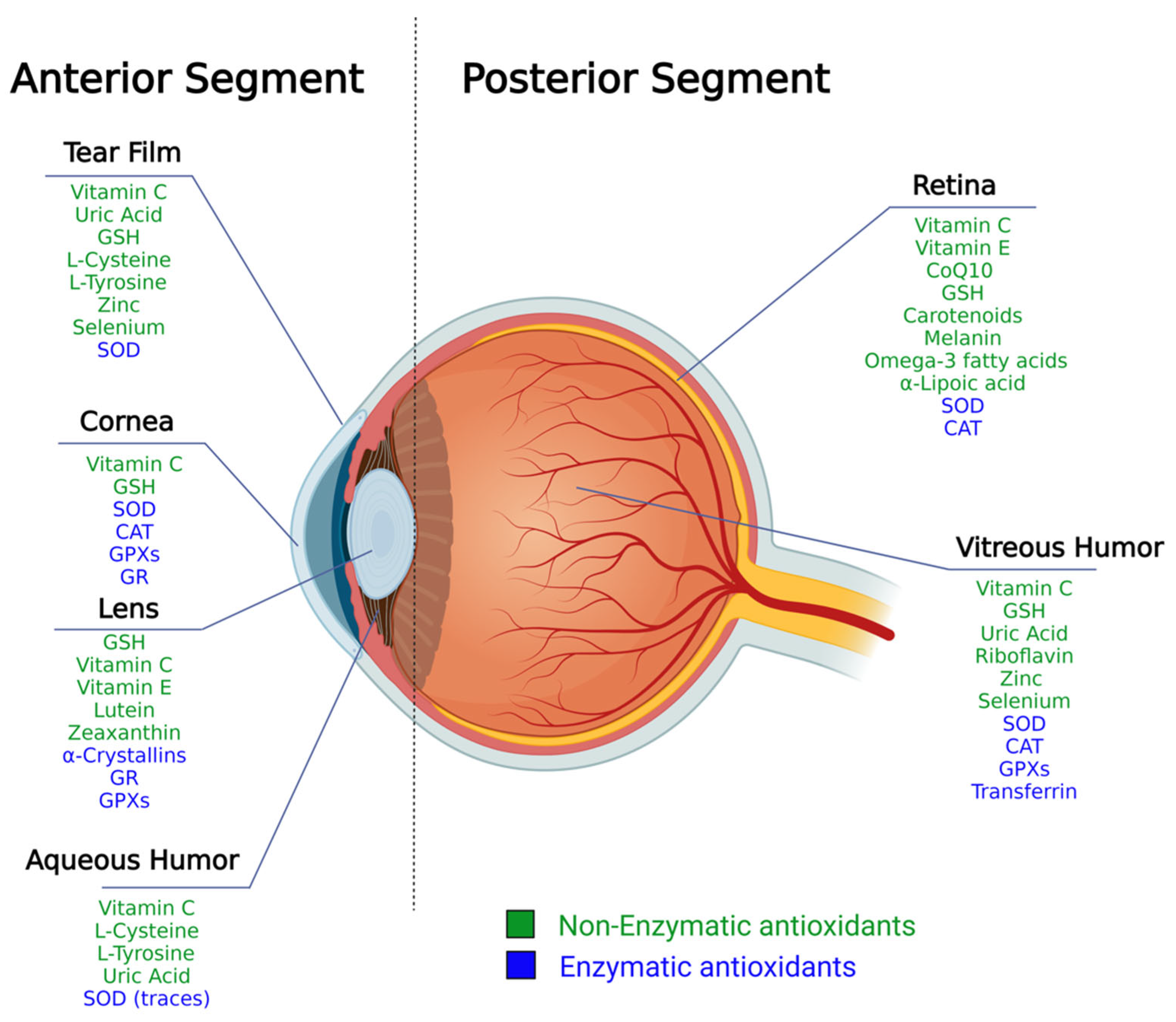 Nutrients 15 02283 g001