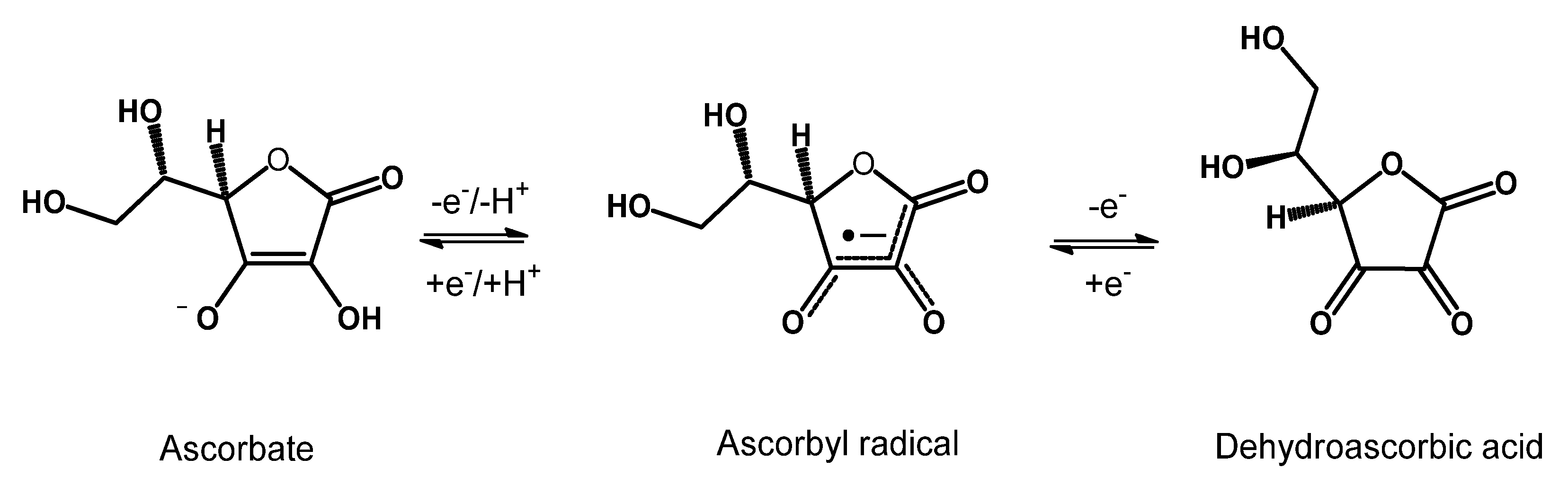 Nutrients 15 02283 g002