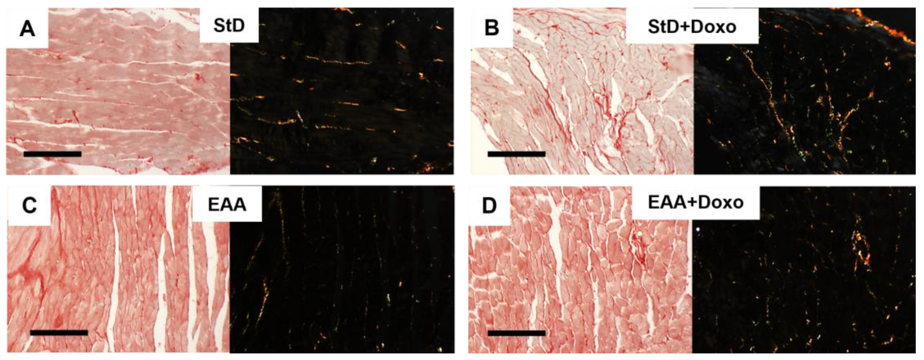 Nutrients 15 02287 g001 Nutrients 15 02287 g001