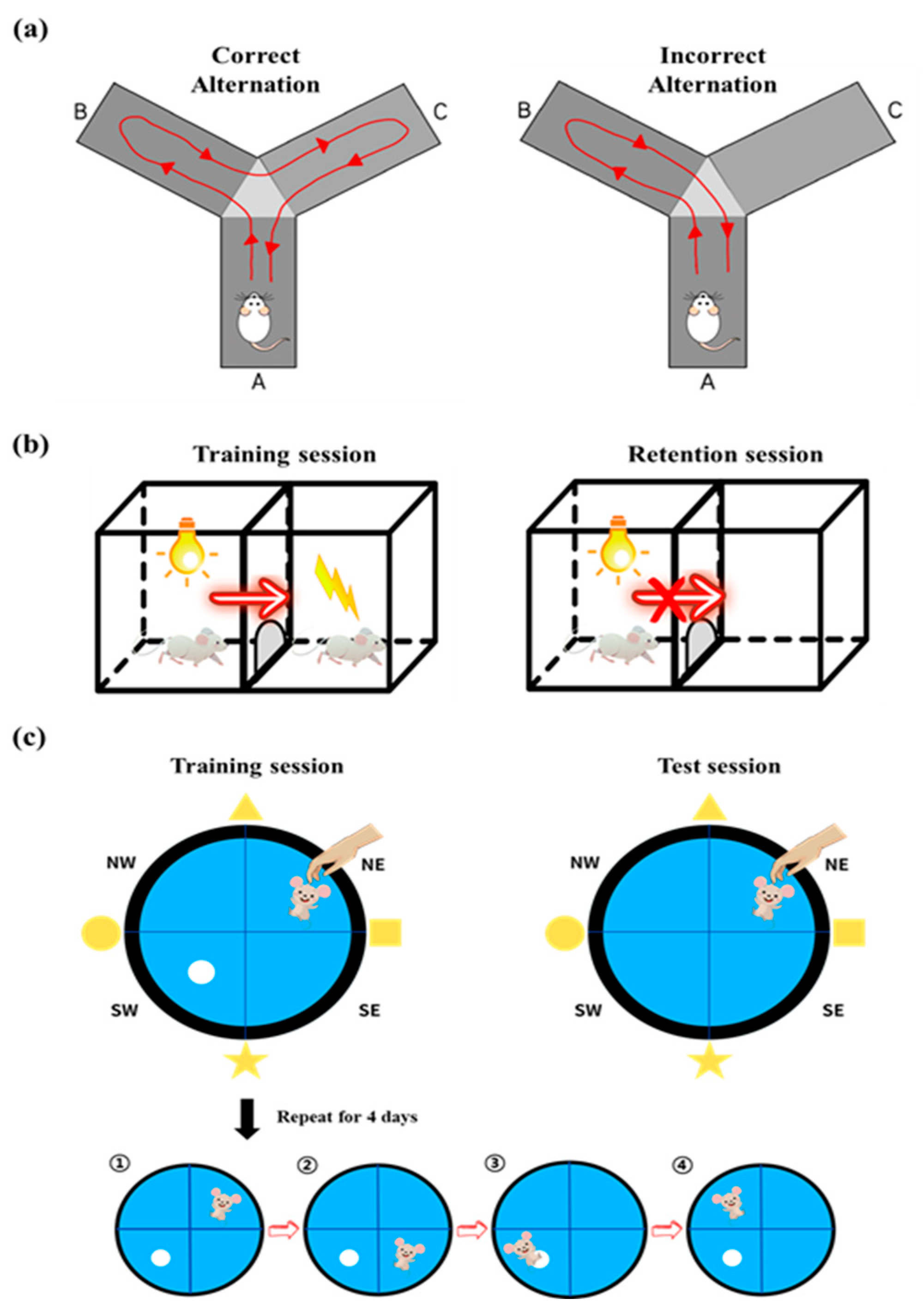 Nutrients 15 02351 g002 Nutrients 15 02351 g002