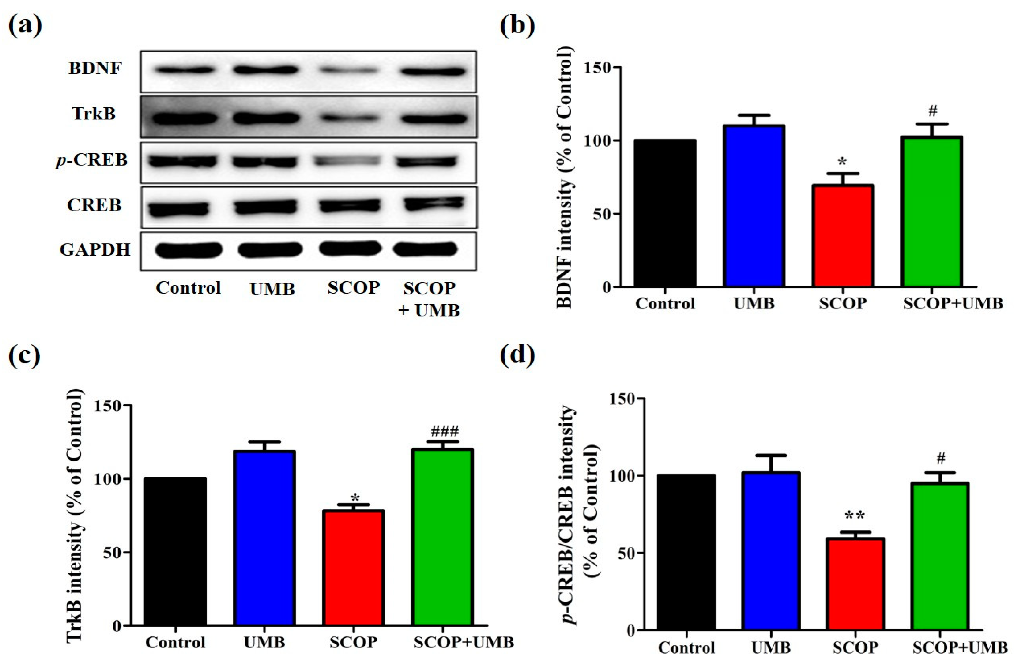 Nutrients 15 02351 g007 Nutrients 15 02351 g007