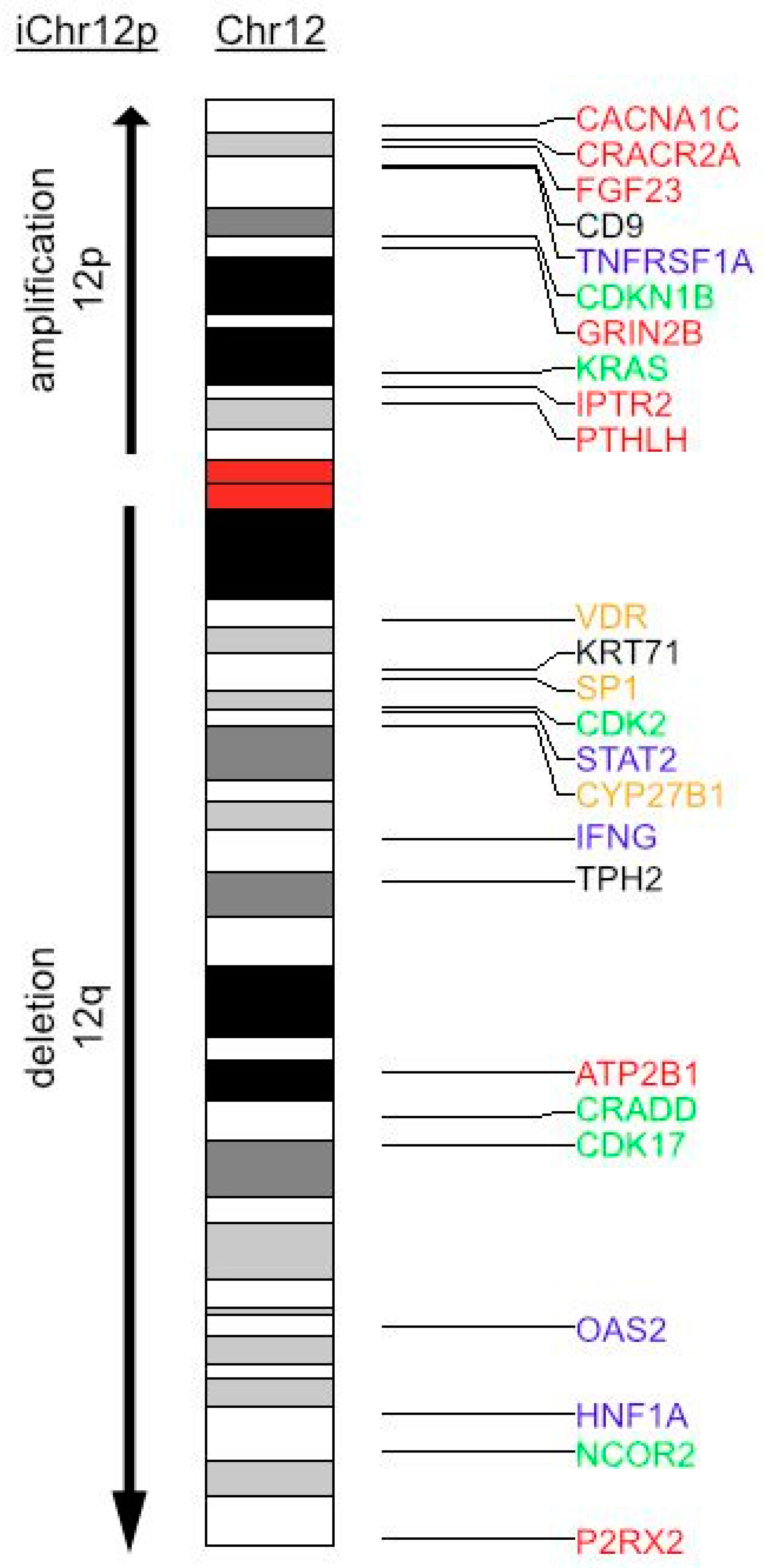 Nutrients 15 02384 g004 Nutrients 15 02384 g004
