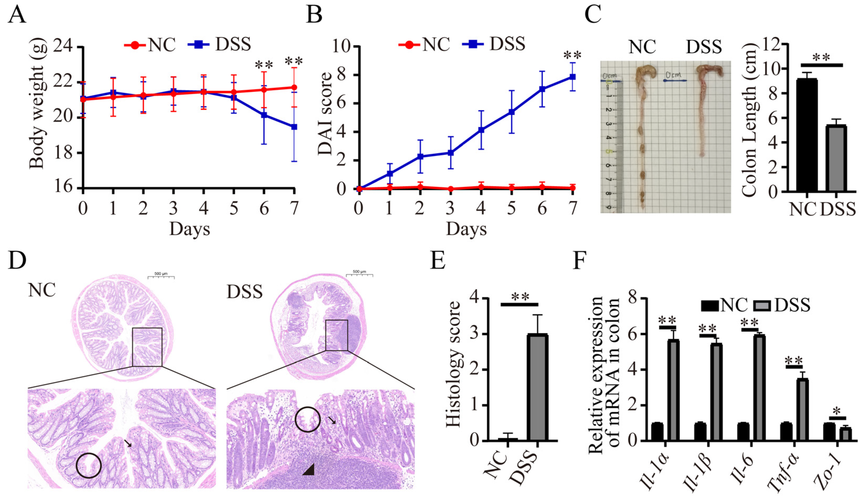 Nutrients 15 02425 g001 Nutrients 15 02425 g001