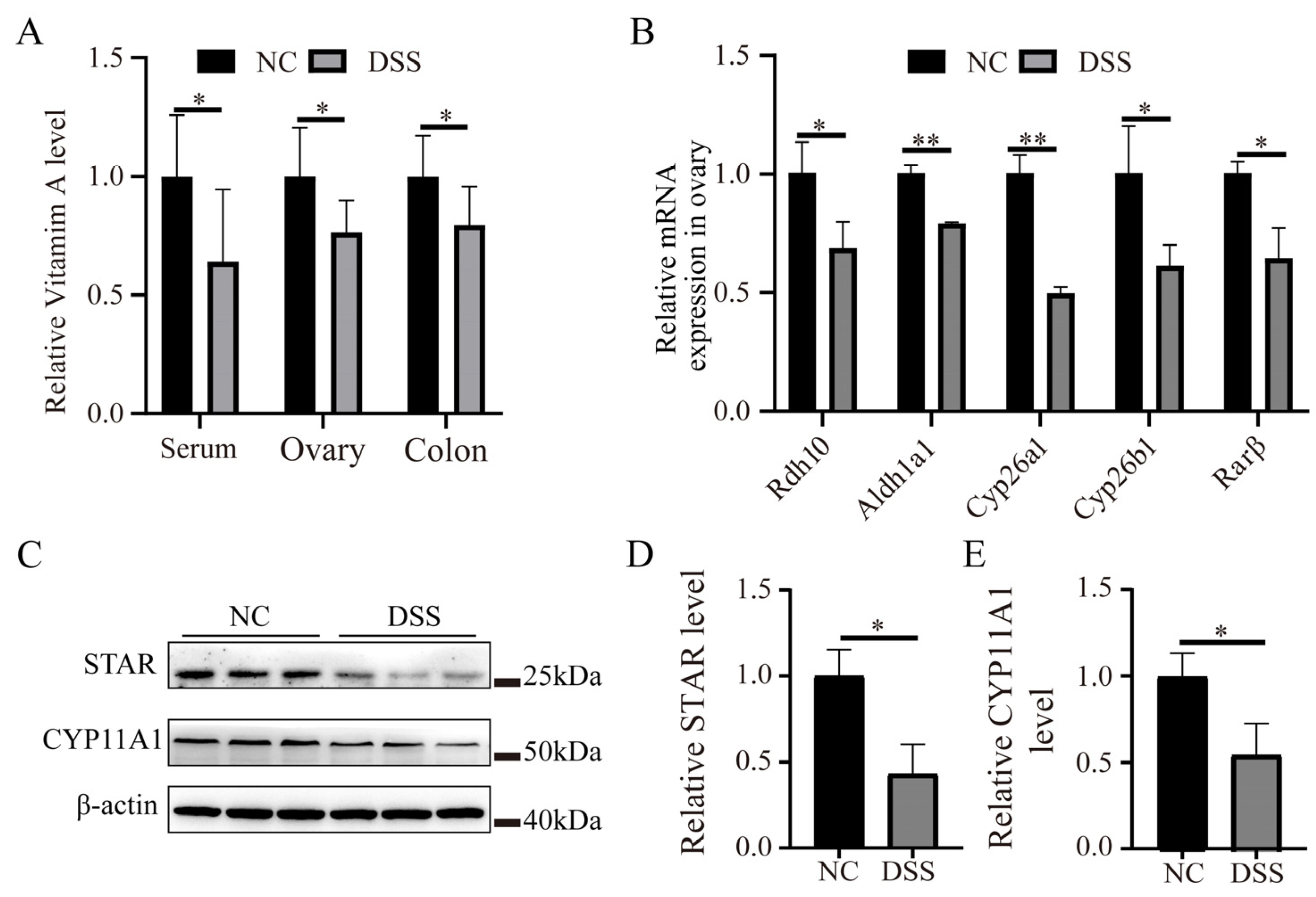 Nutrients 15 02425 g007 Nutrients 15 02425 g007