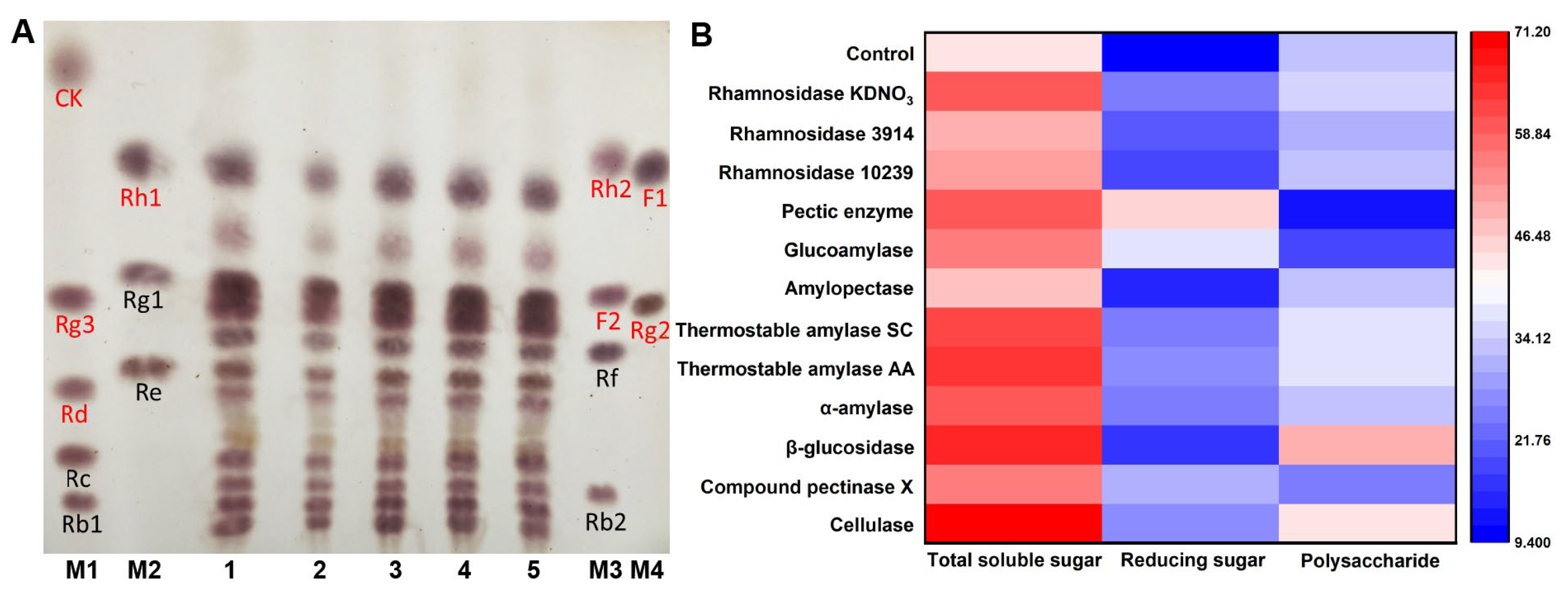 Nutrients 15 02434 g001