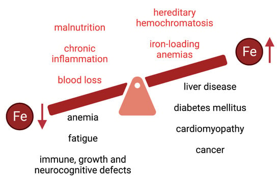 Nutrients Free Full Text Nutritional Aspects Of Iron In Health And Disease