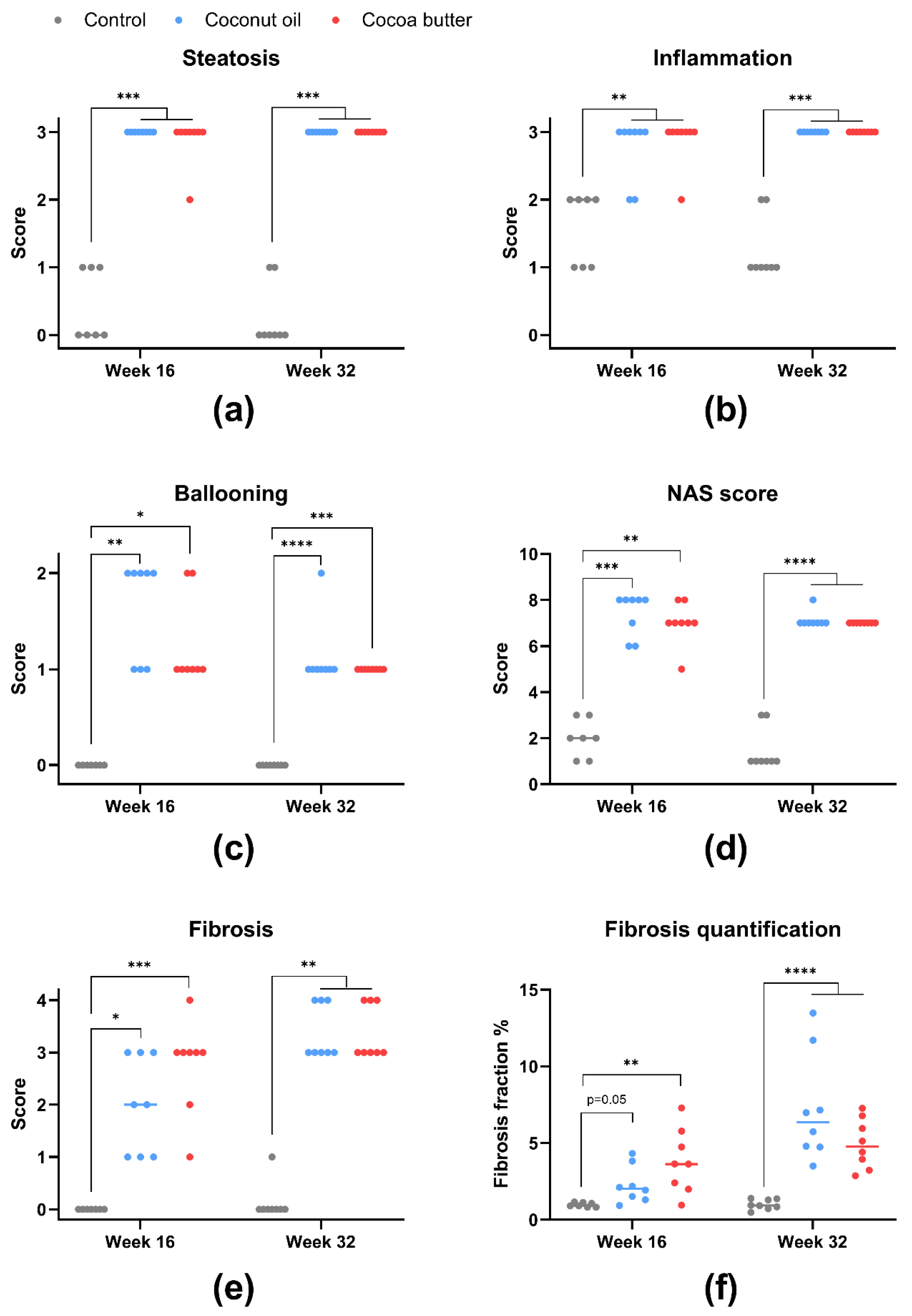 Nutrients 15 02445 g006 Nutrients 15 02445 g006