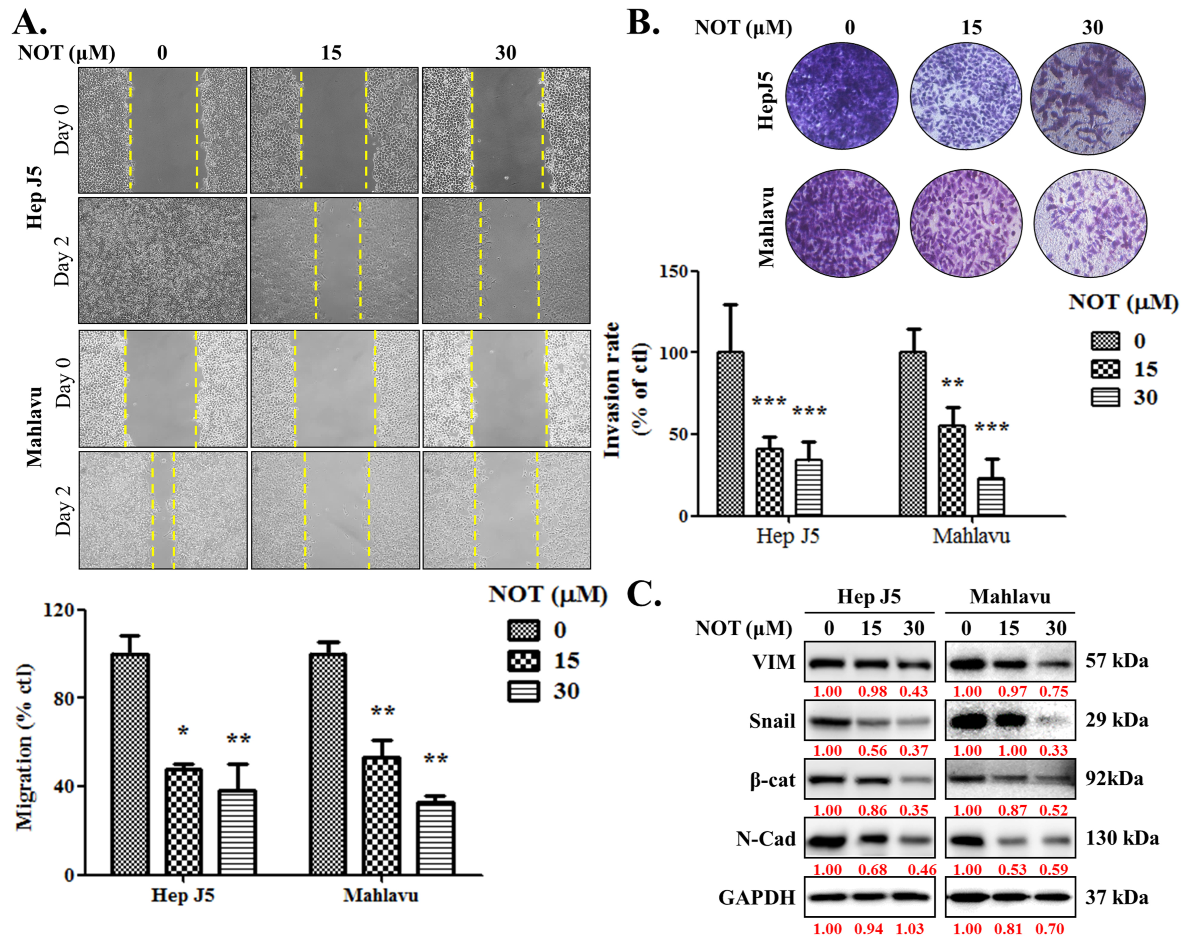 Nutrients 15 02447 g002