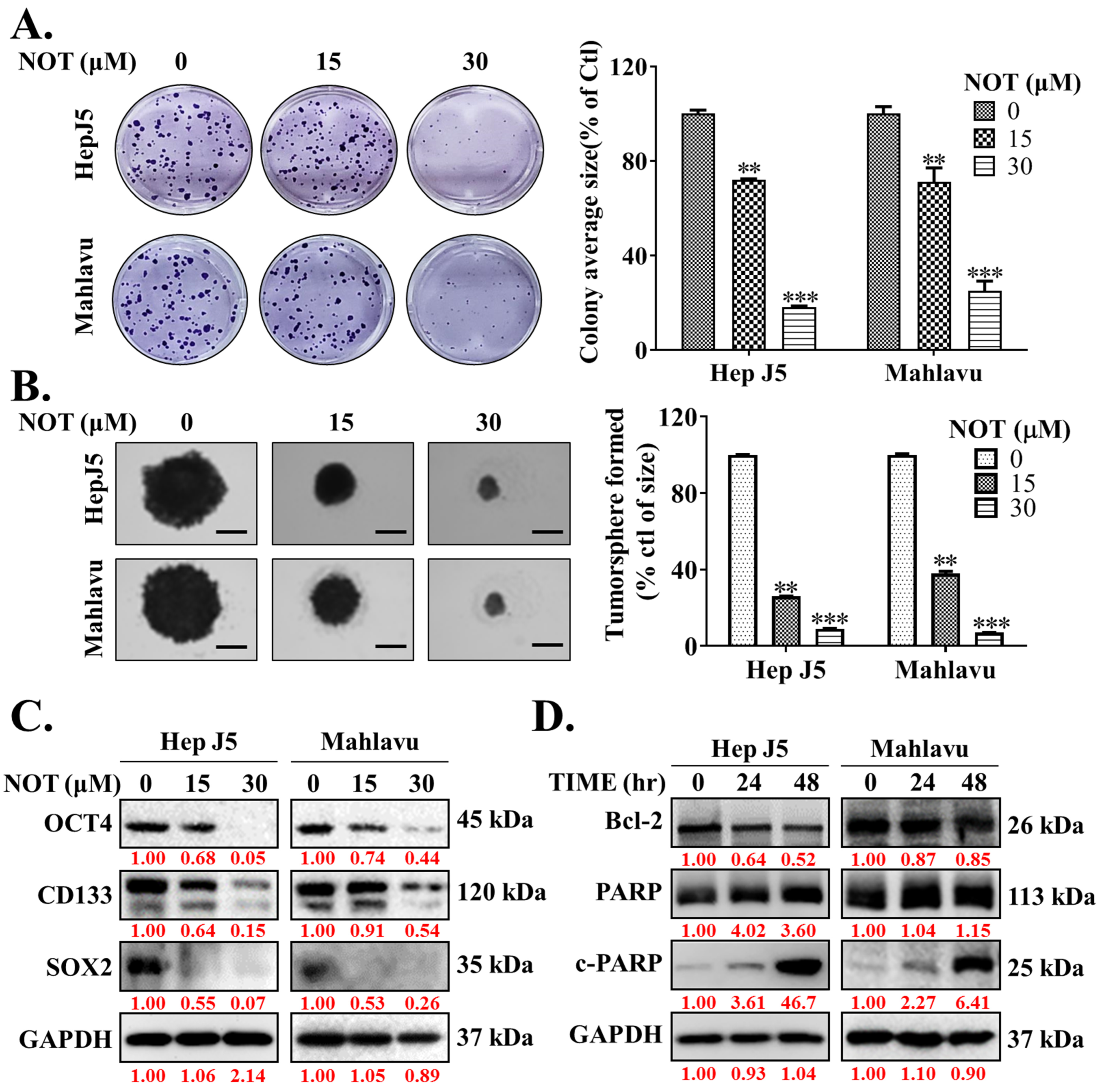 Nutrients 15 02447 g003