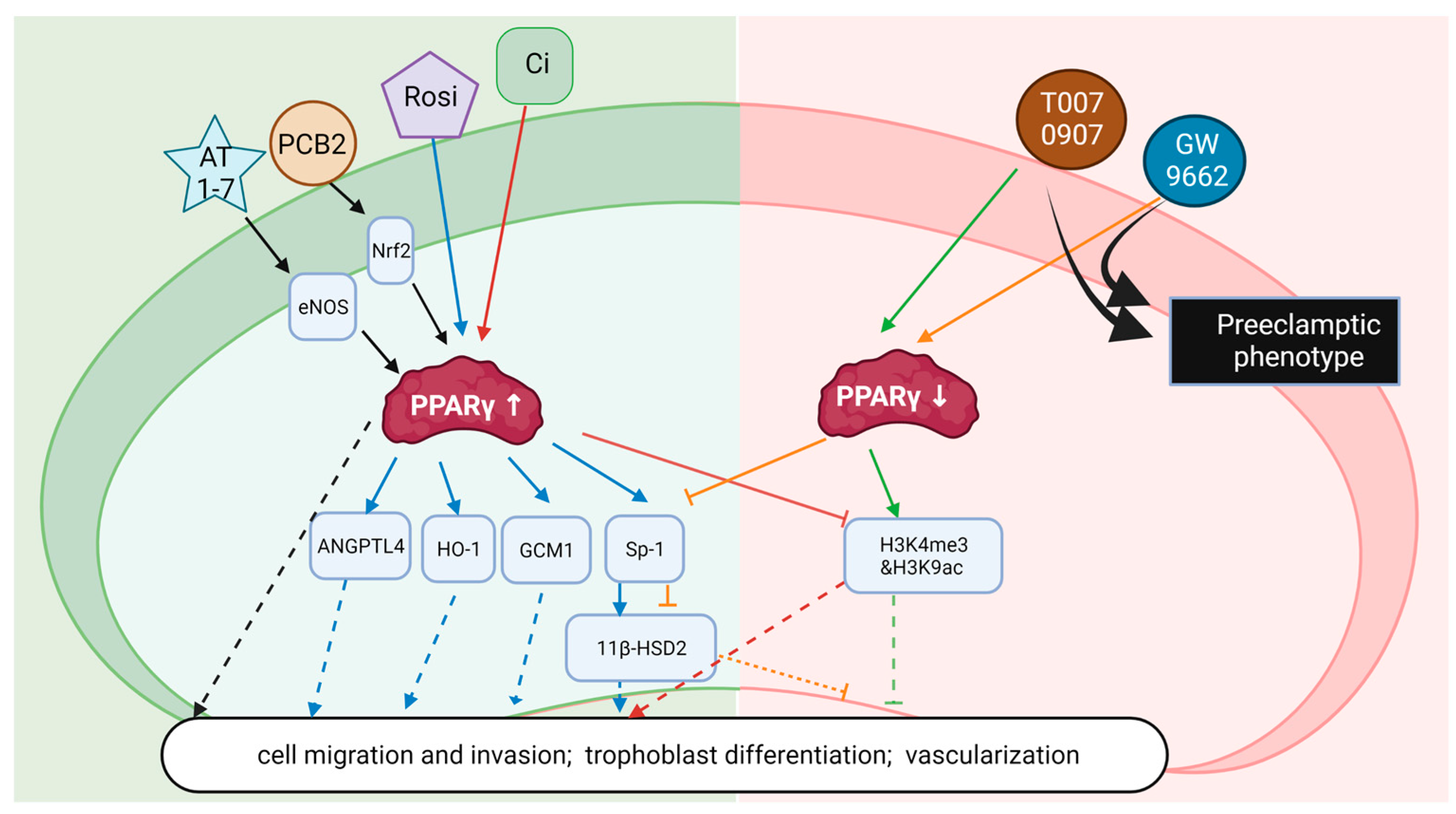 Nutrients 15 02459 g002