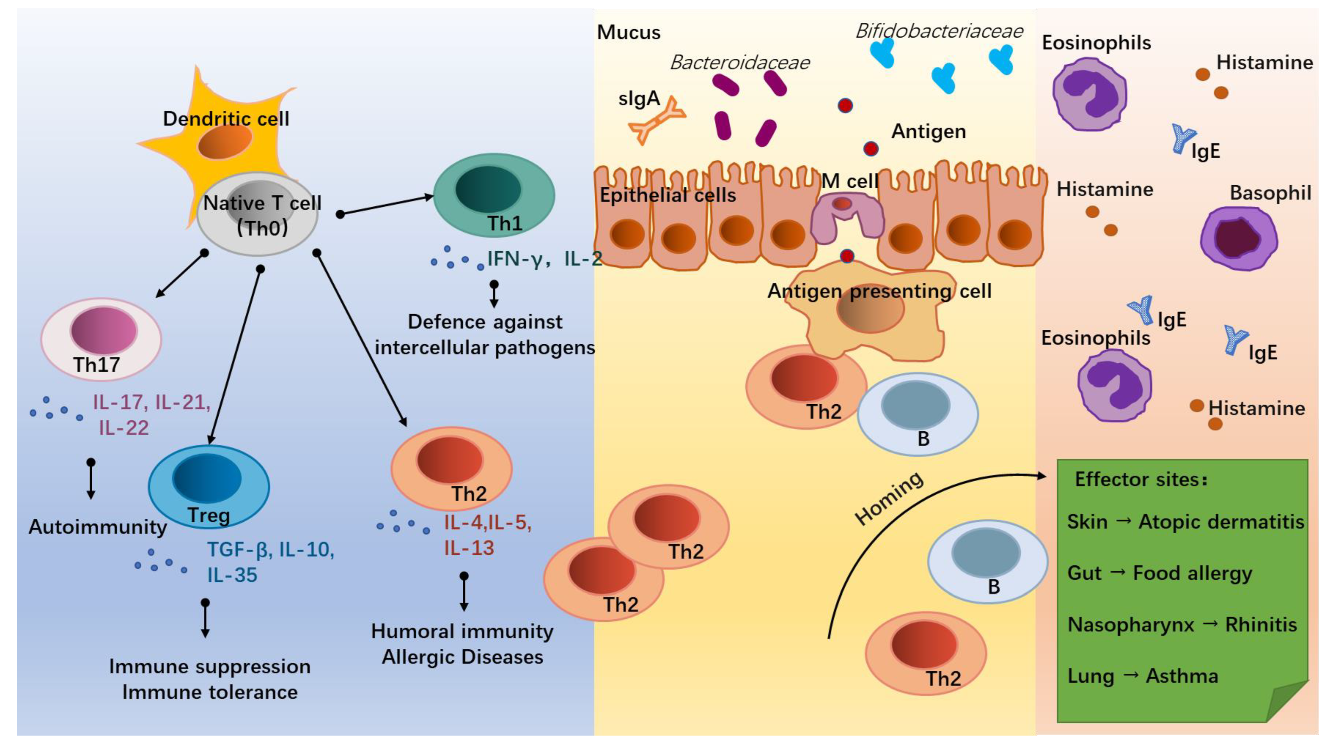 Nutrients 15 02483 g001 Nutrients 15 02483 g001