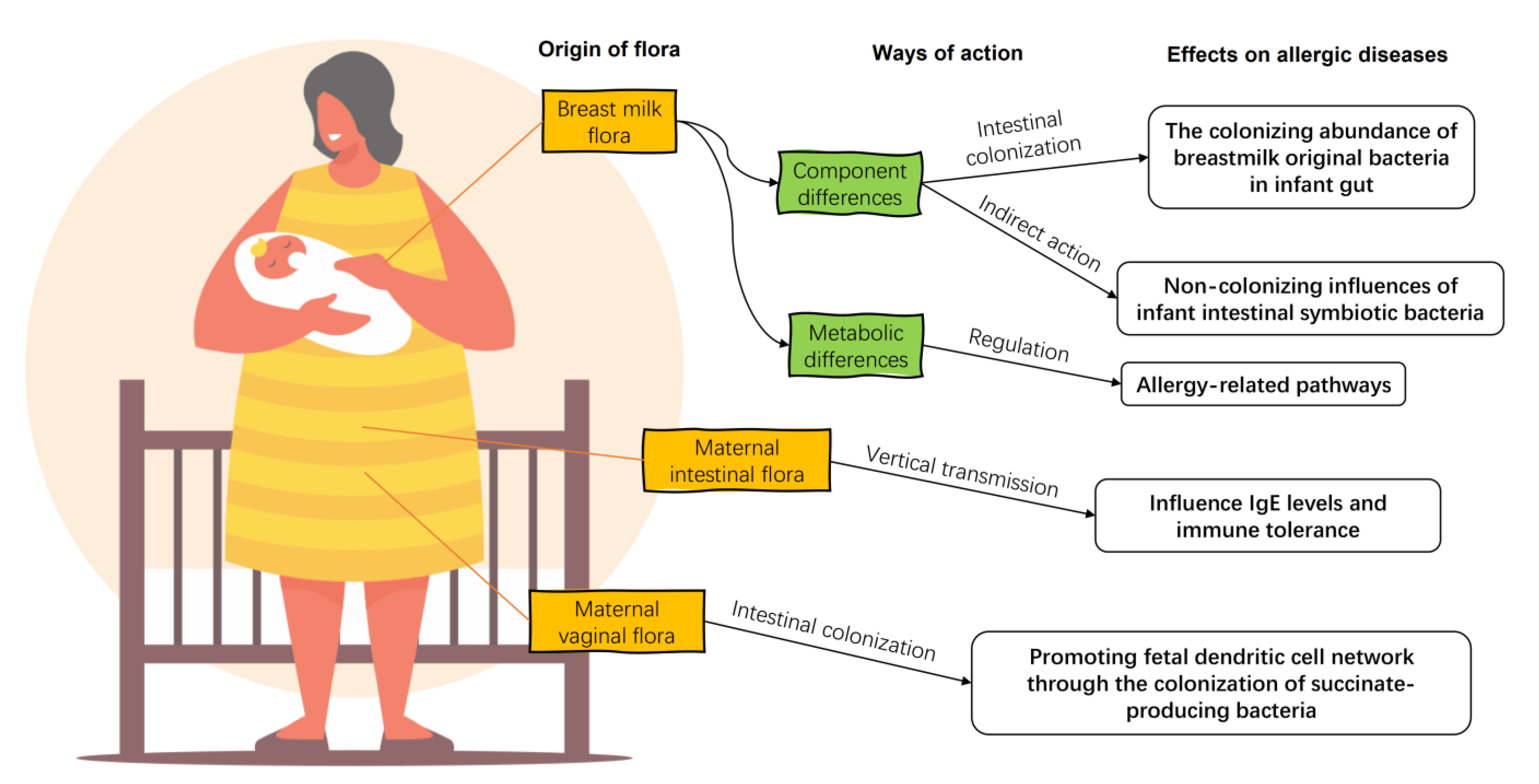 Nutrients 15 02483 g002 Nutrients 15 02483 g002