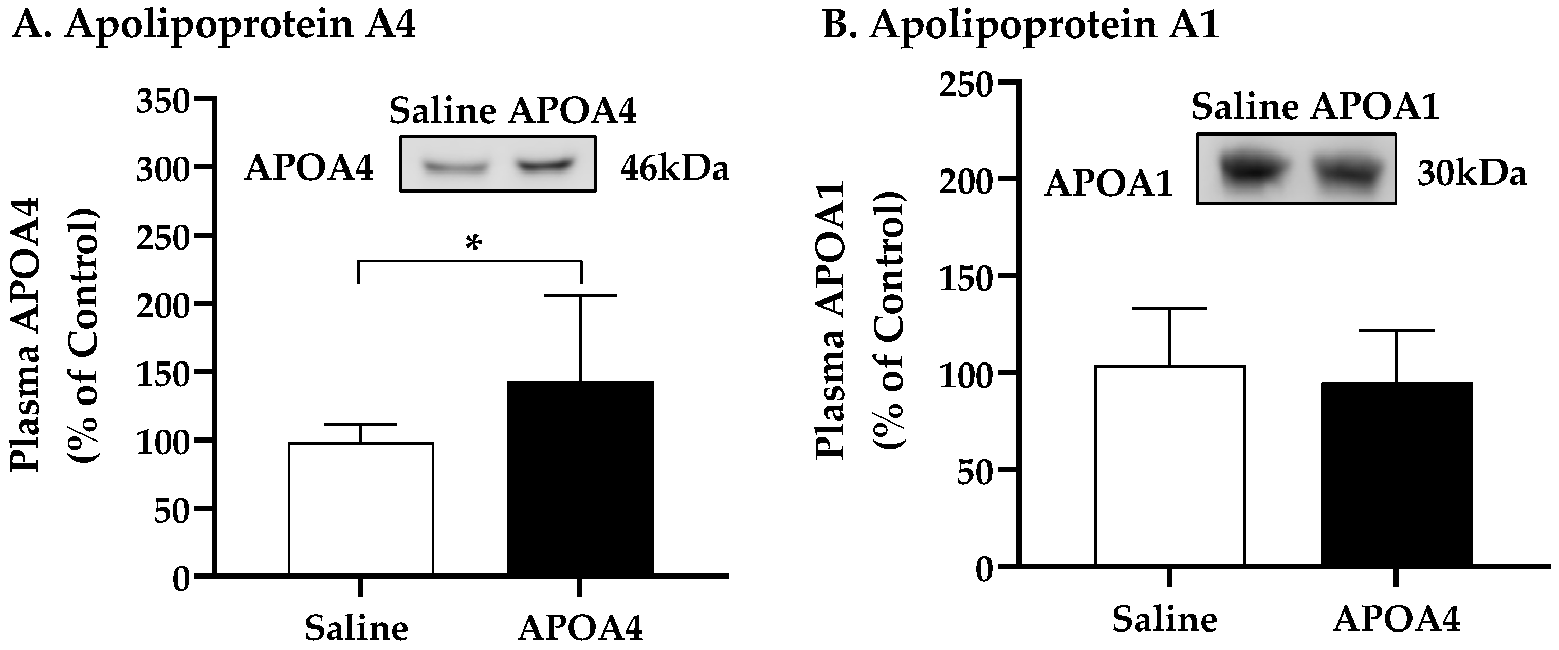 Nutrients | Free Full-Text | Apolipoprotein A4 Elevates Sympathetic  Activity and Thermogenesis in Male Mice