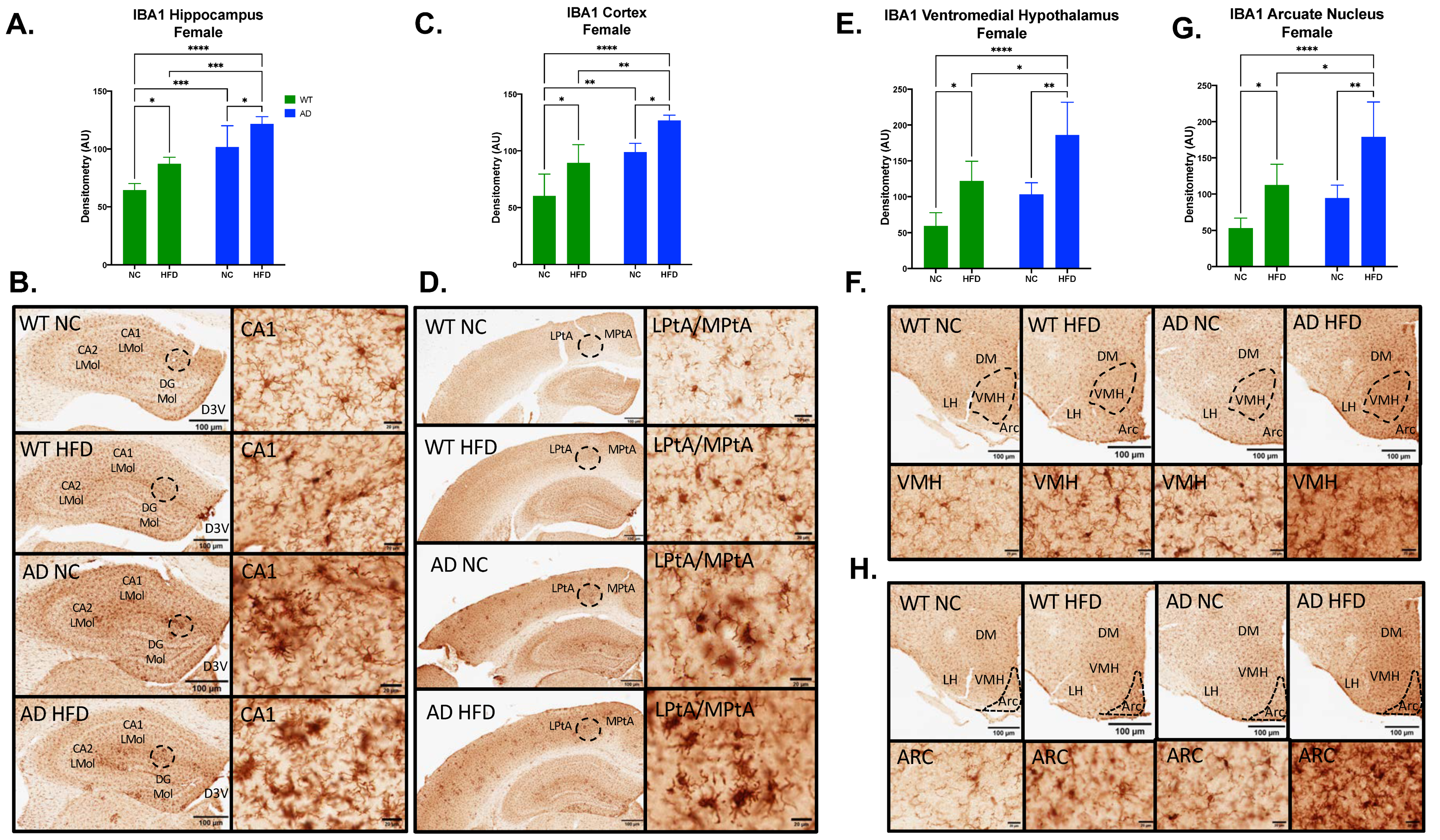 Nutrients 15 02494 g006 Nutrients 15 02494 g006