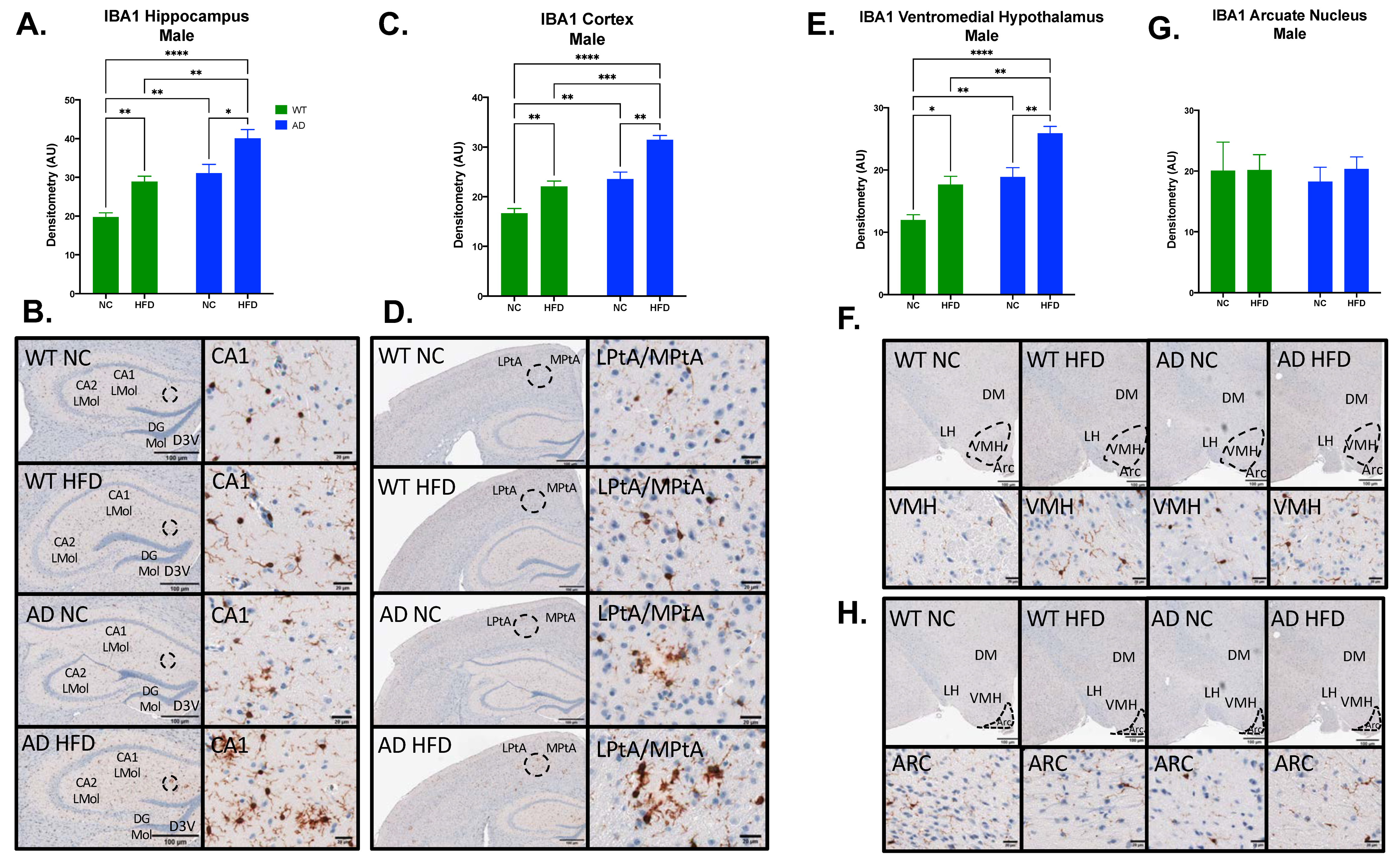 Nutrients 15 02494 g007 Nutrients 15 02494 g007