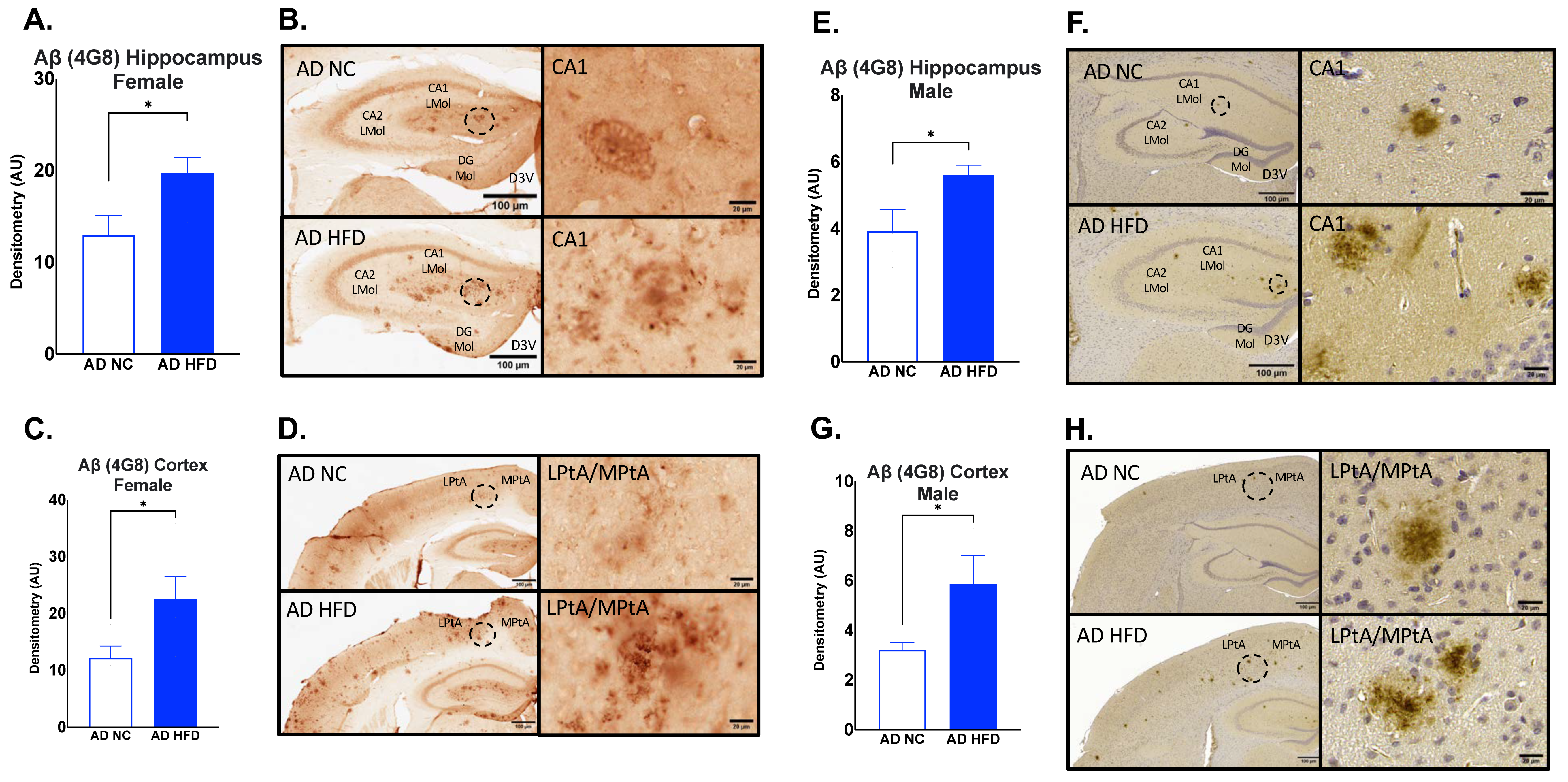 Nutrients 15 02494 g009 Nutrients 15 02494 g009