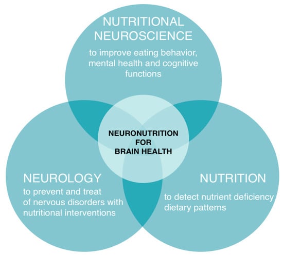 Nutrients | Free Full-Text | Perspectives on Neuronutrition in