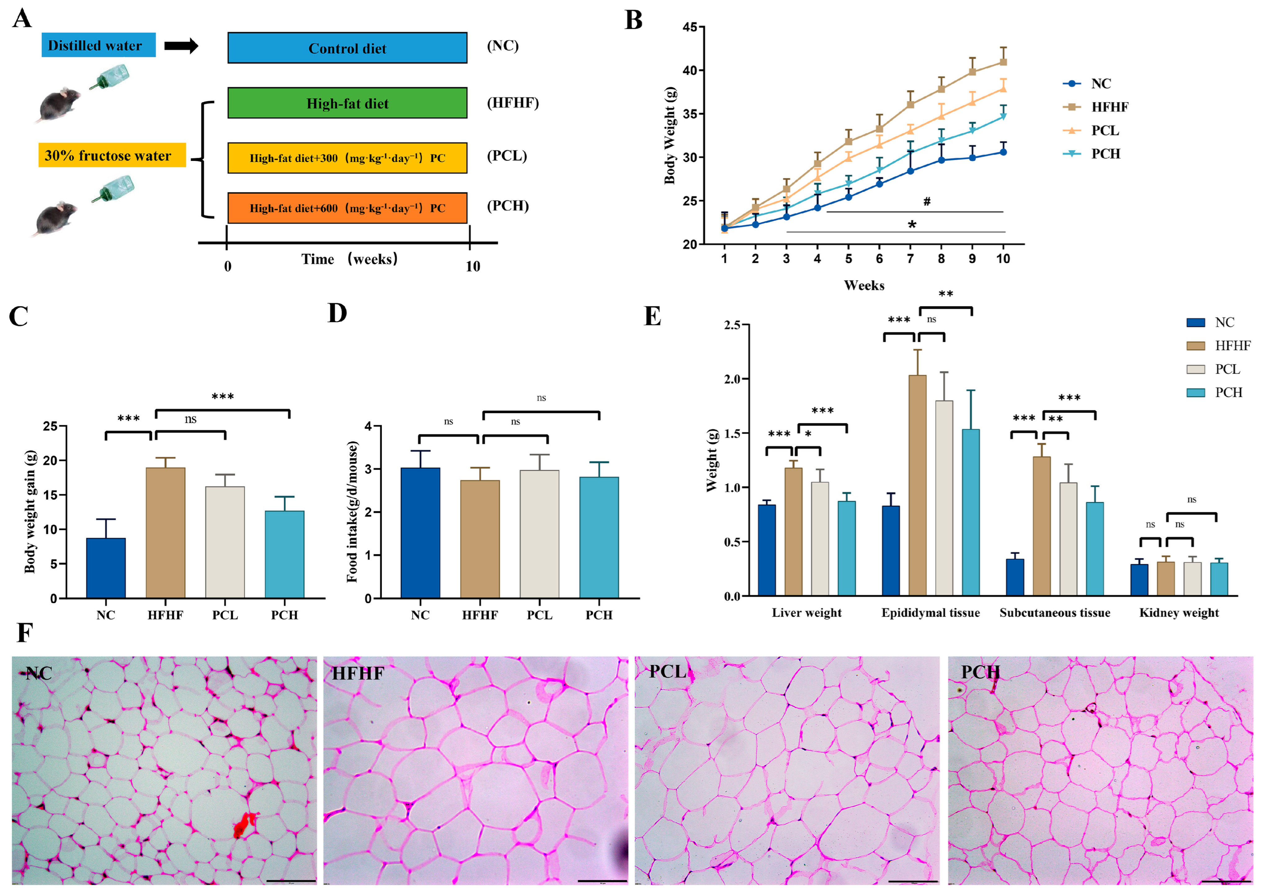 Nutrients 15 02507 g001