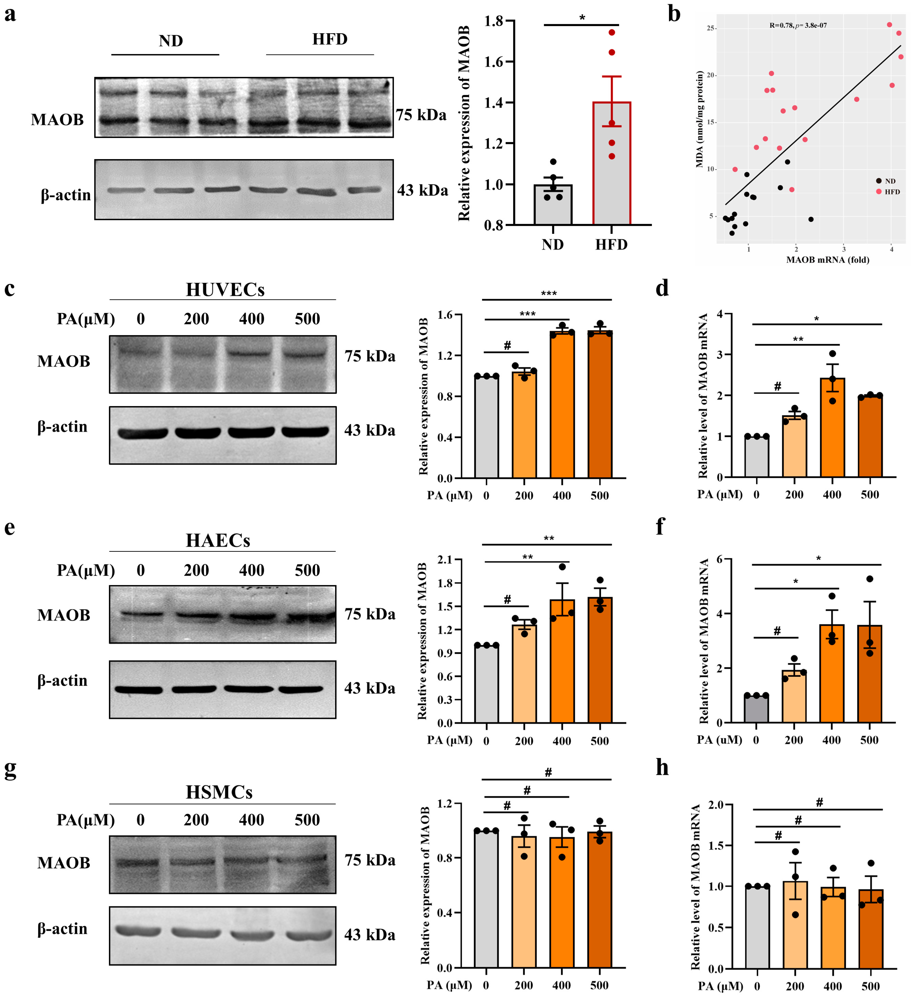 Nutrients 15 02542 g001 Nutrients 15 02542 g001