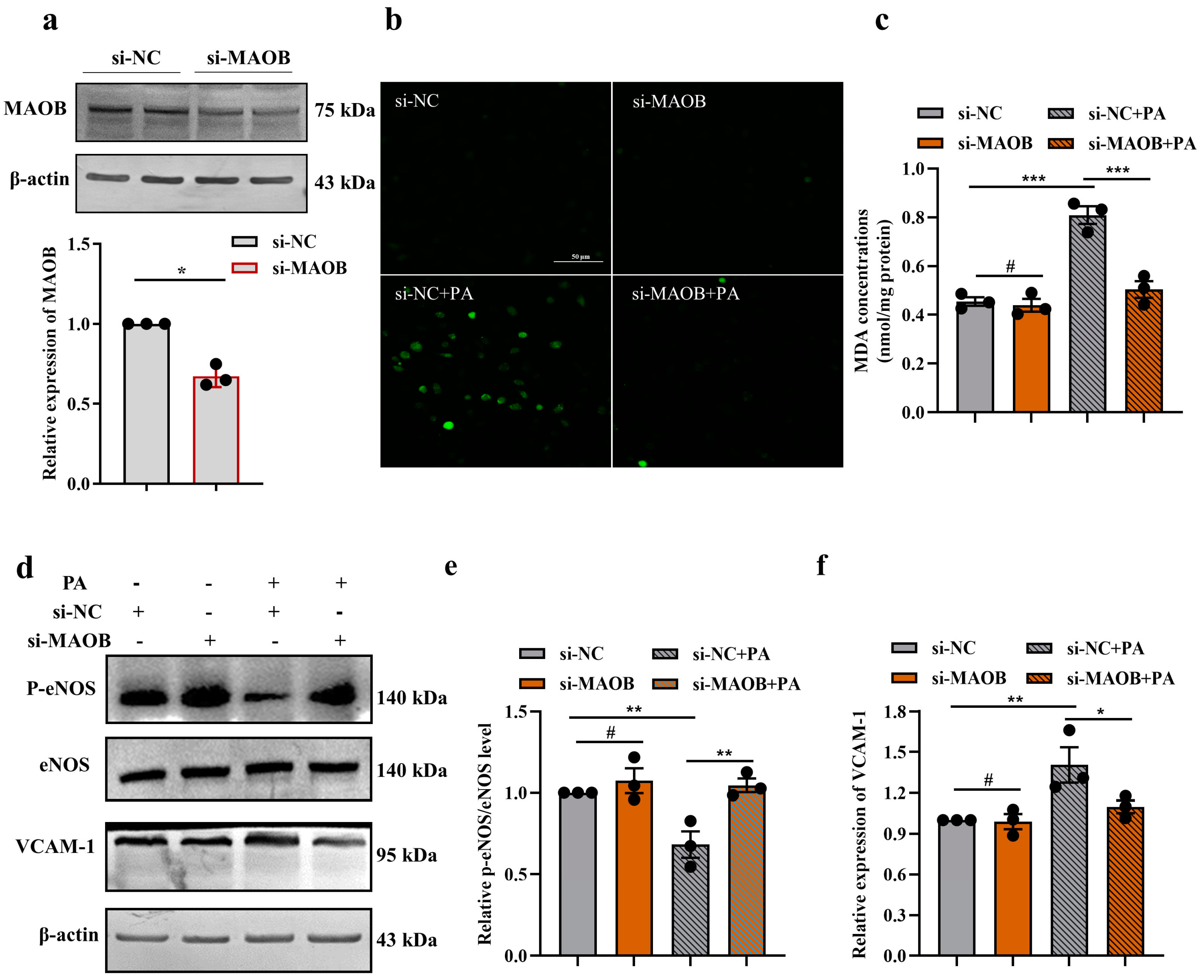 Nutrients 15 02542 g002 Nutrients 15 02542 g002