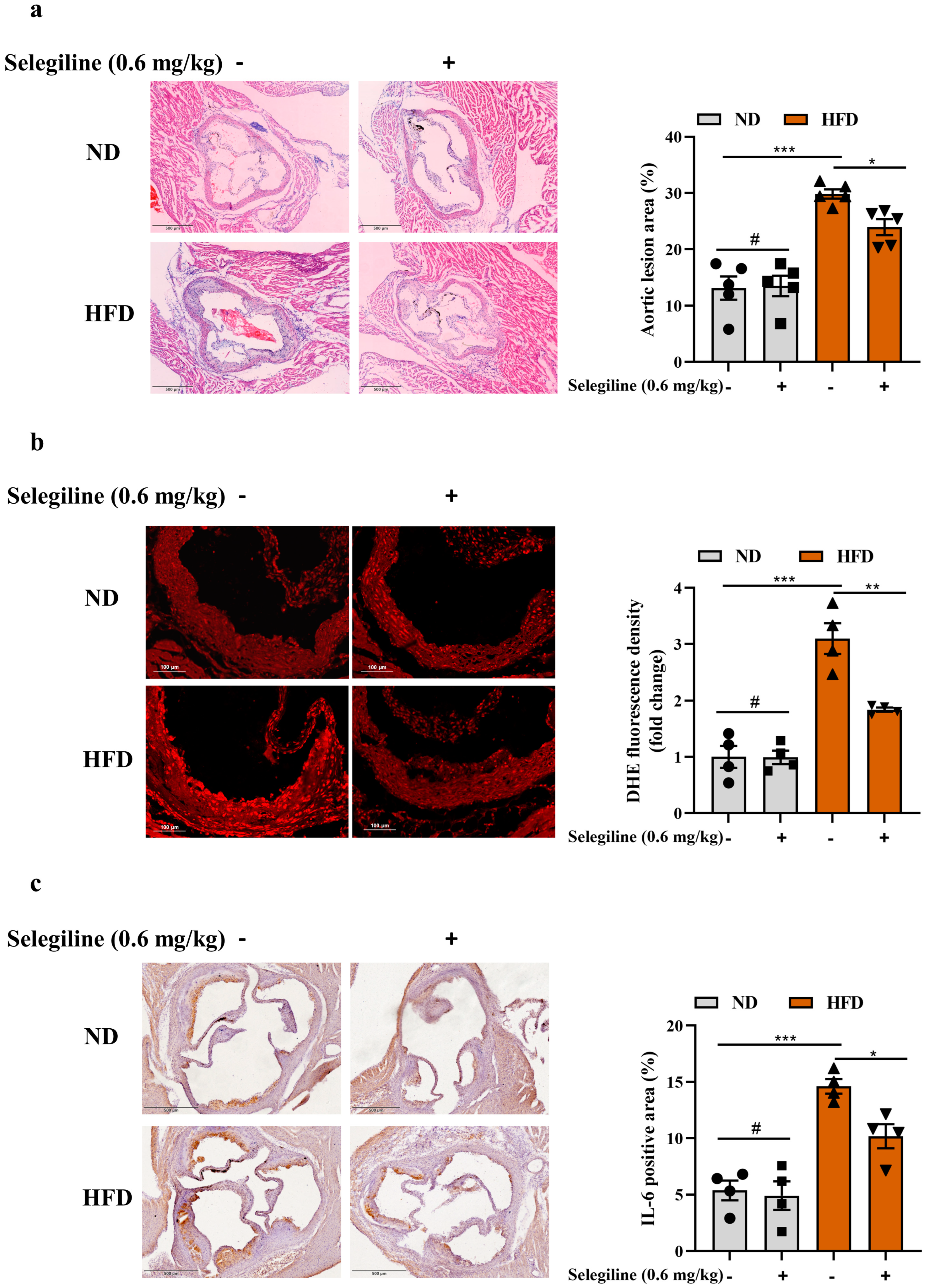 Nutrients 15 02542 g006 Nutrients 15 02542 g006
