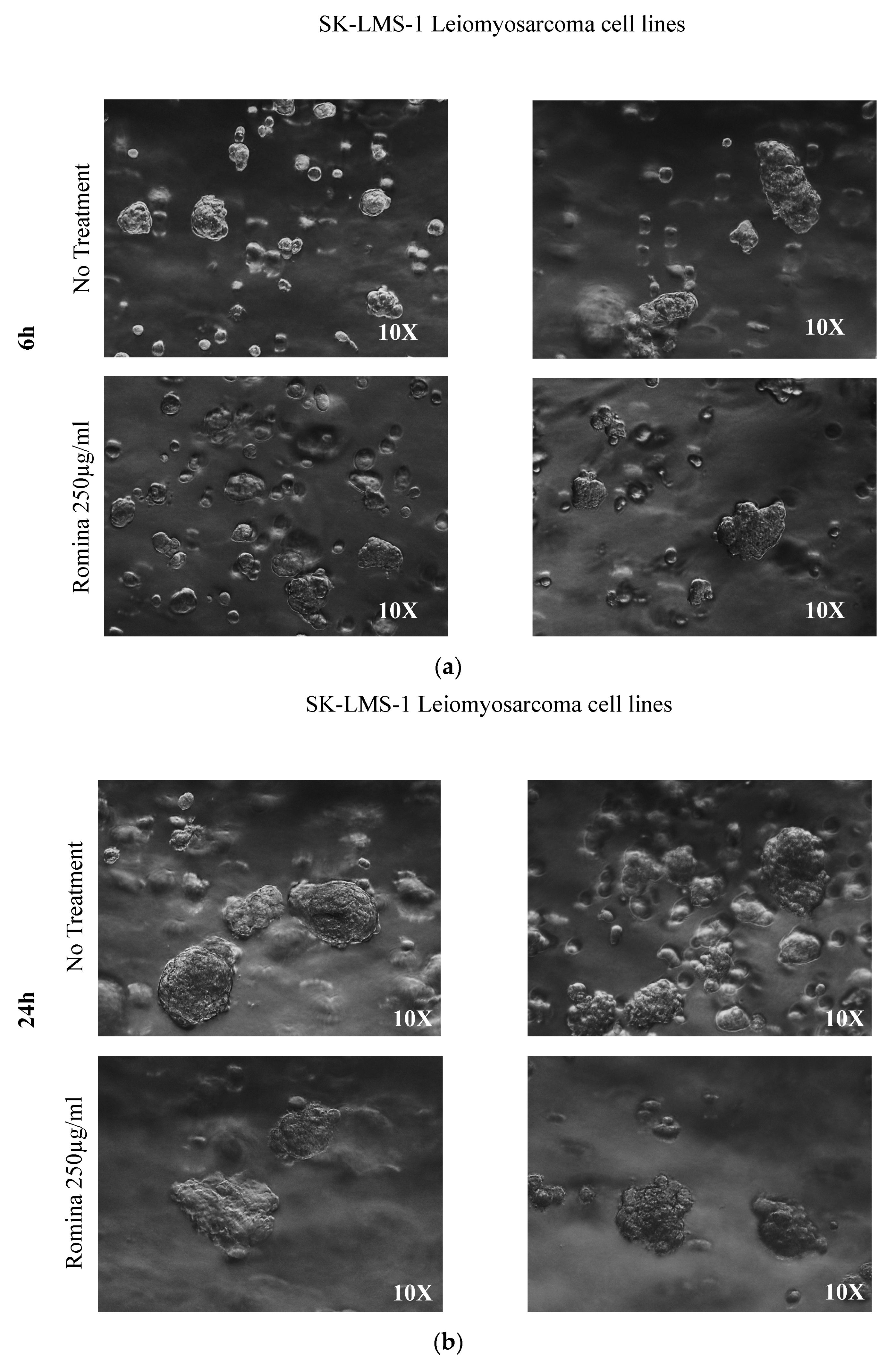 Nutrients 15 02557 g001a Nutrients 15 02557 g001a