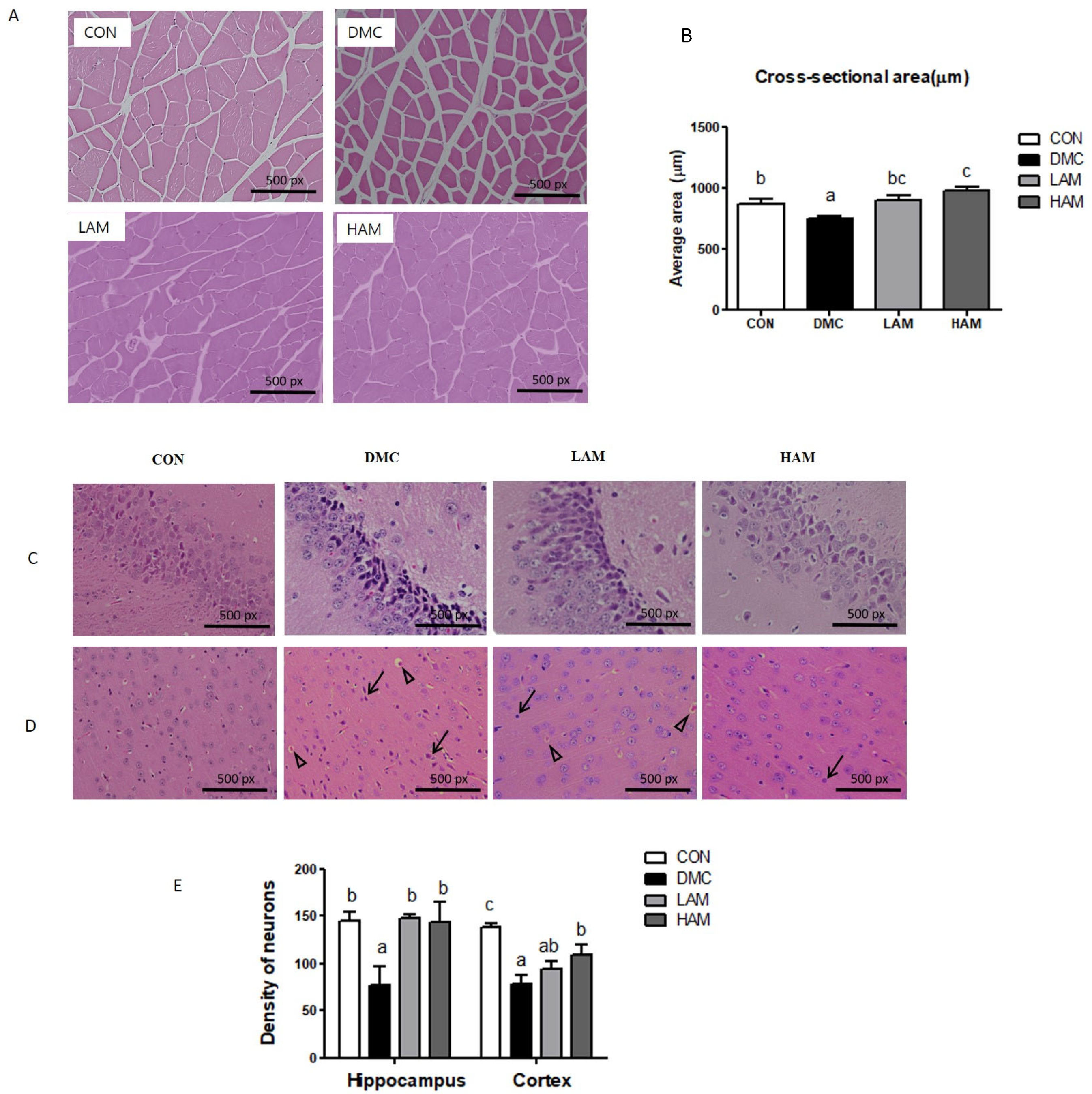 Nutrients 15 02559 g002
