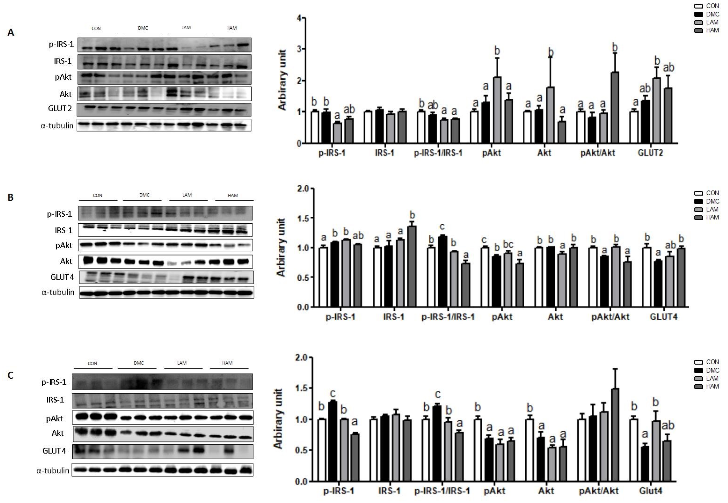 Nutrients 15 02559 g003