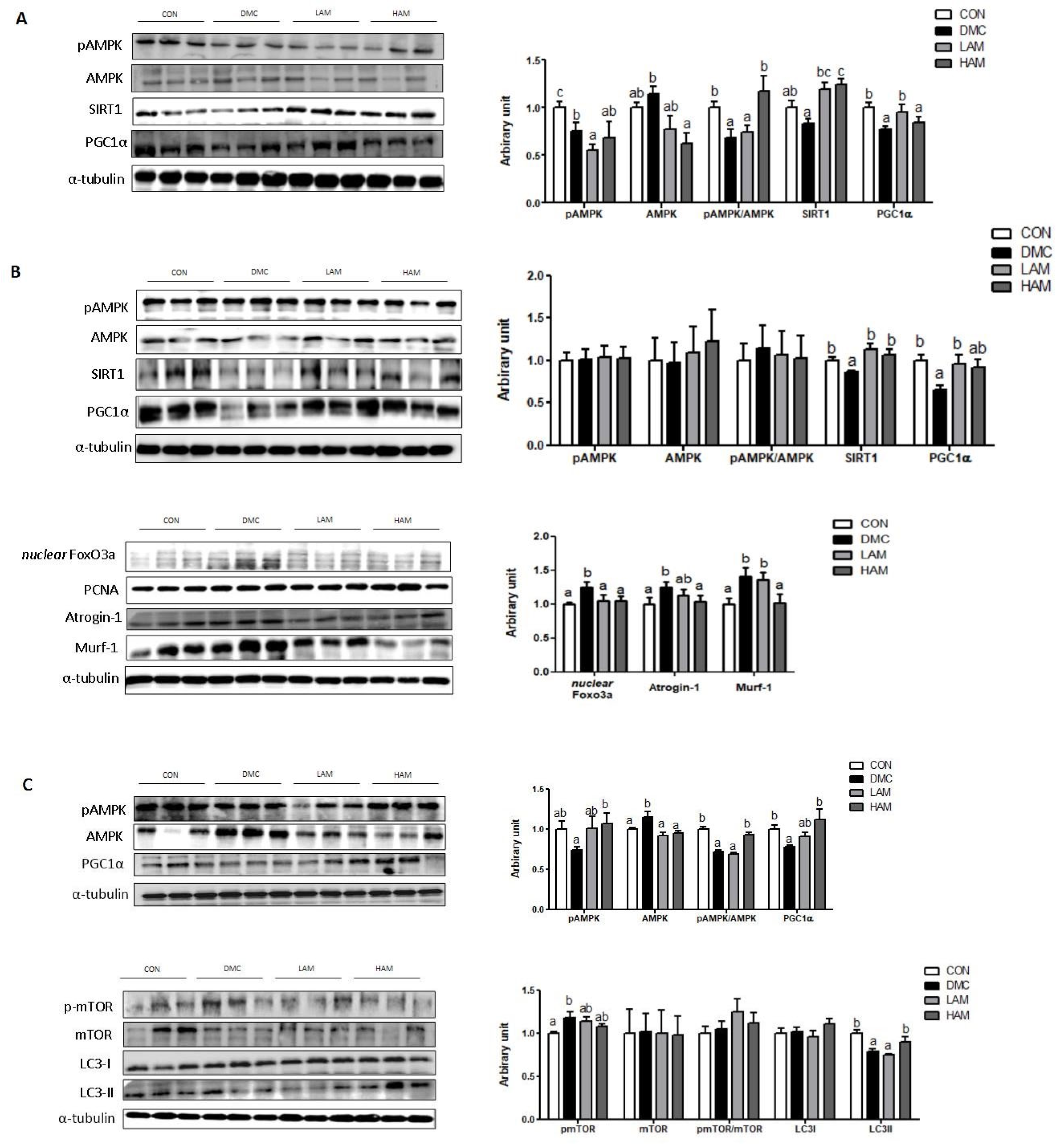Nutrients 15 02559 g004