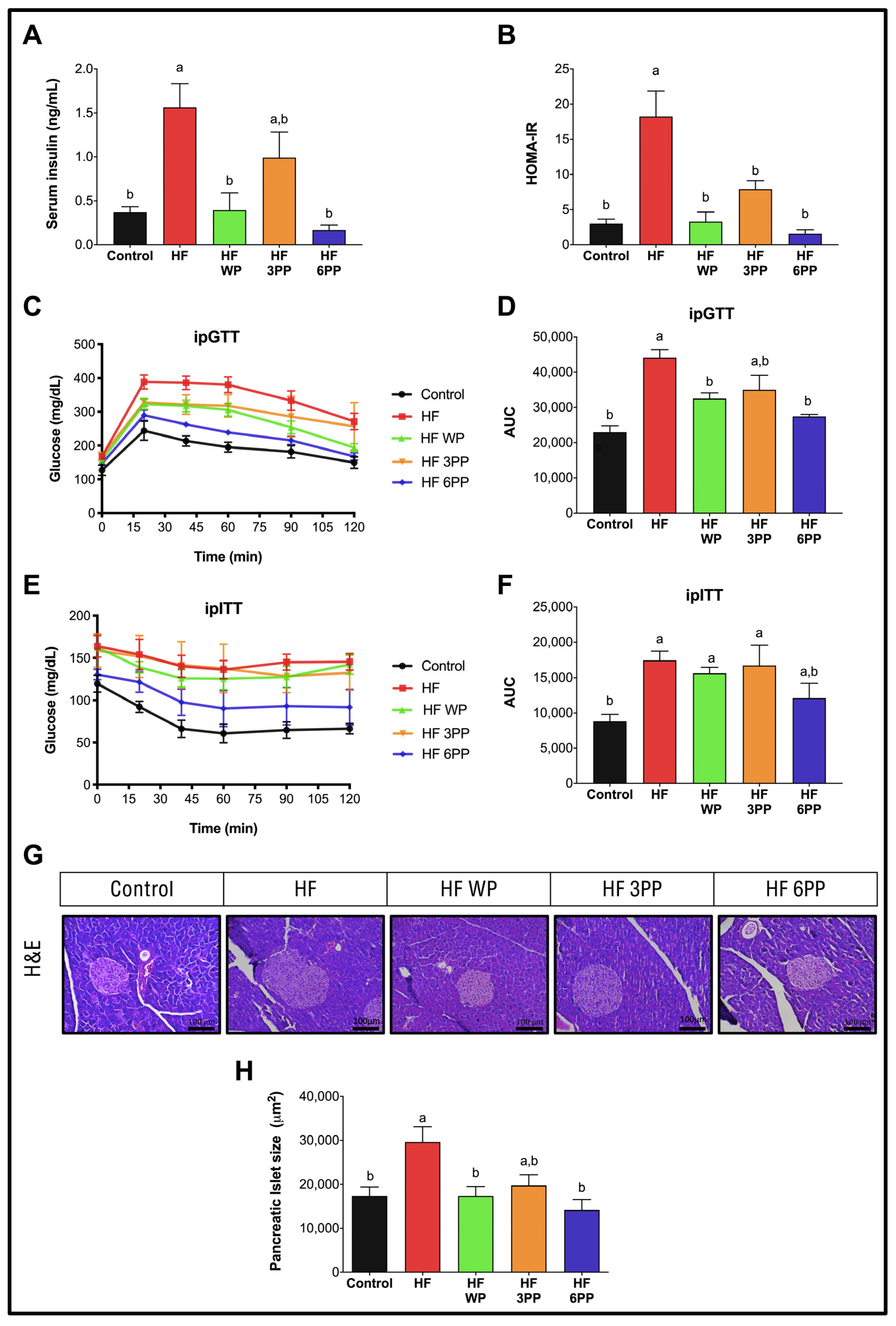 Nutrients 15 02591 g003 Nutrients 15 02591 g003