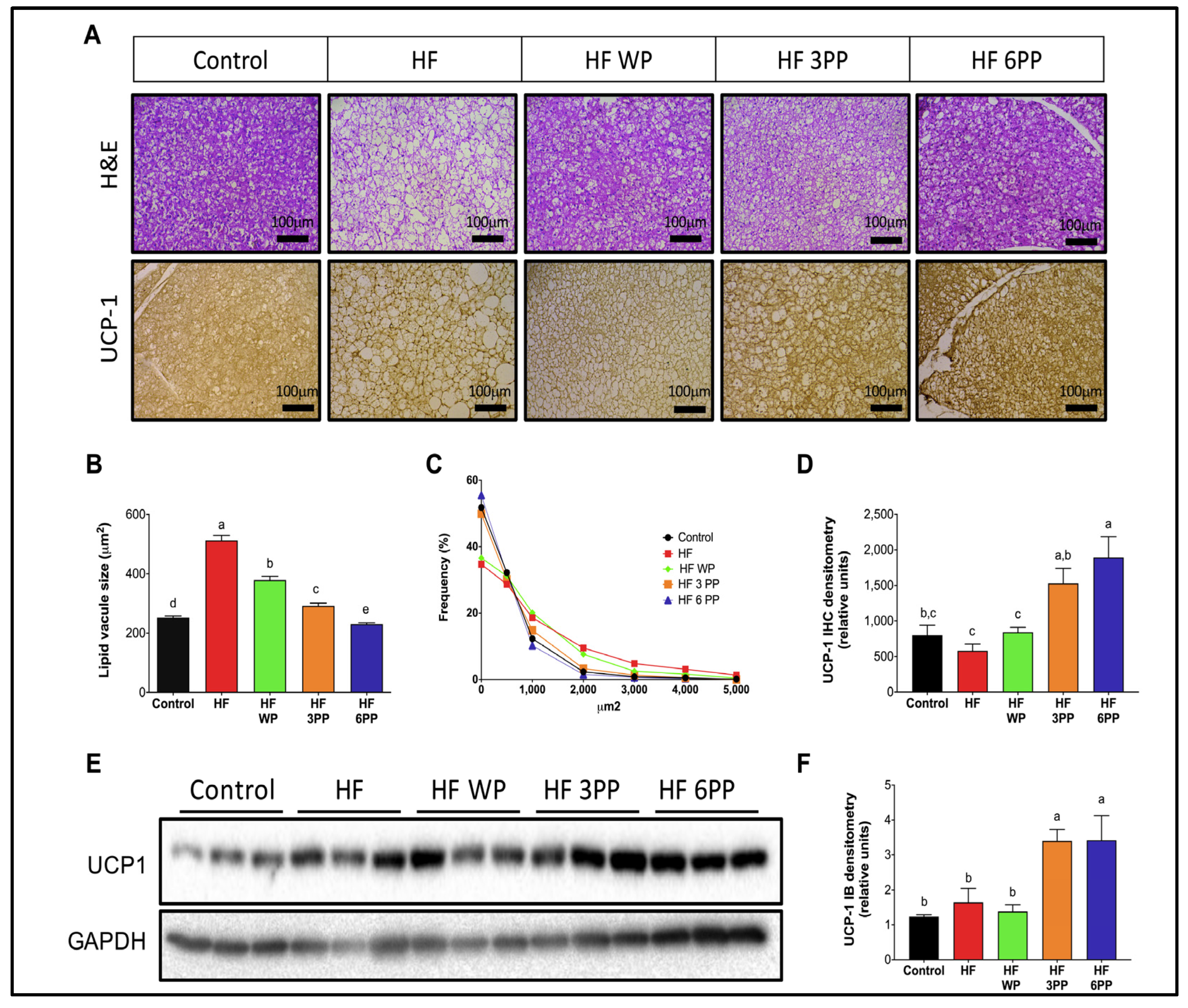 Nutrients 15 02591 g005 Nutrients 15 02591 g005