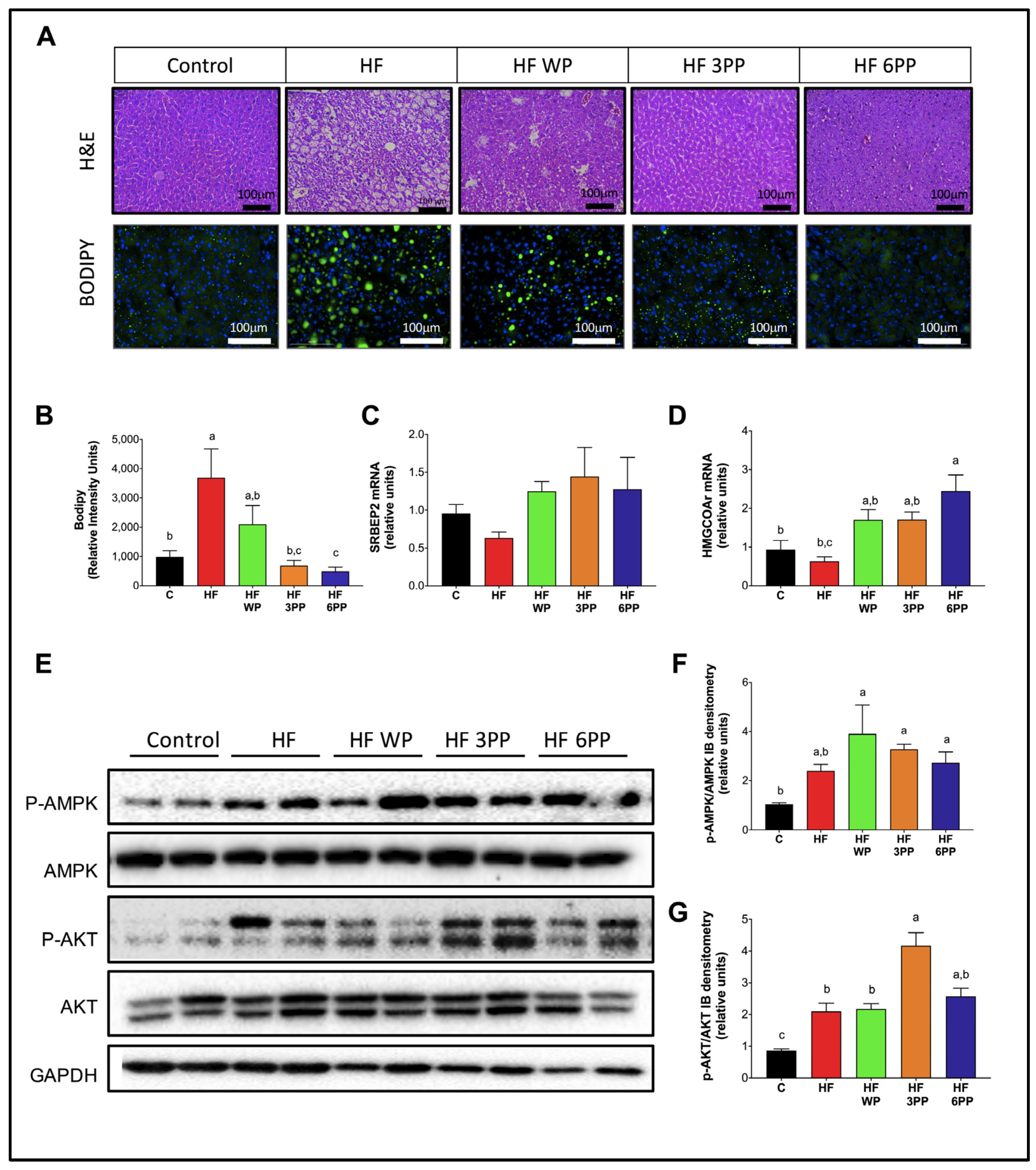 Nutrients 15 02591 g008 Nutrients 15 02591 g008