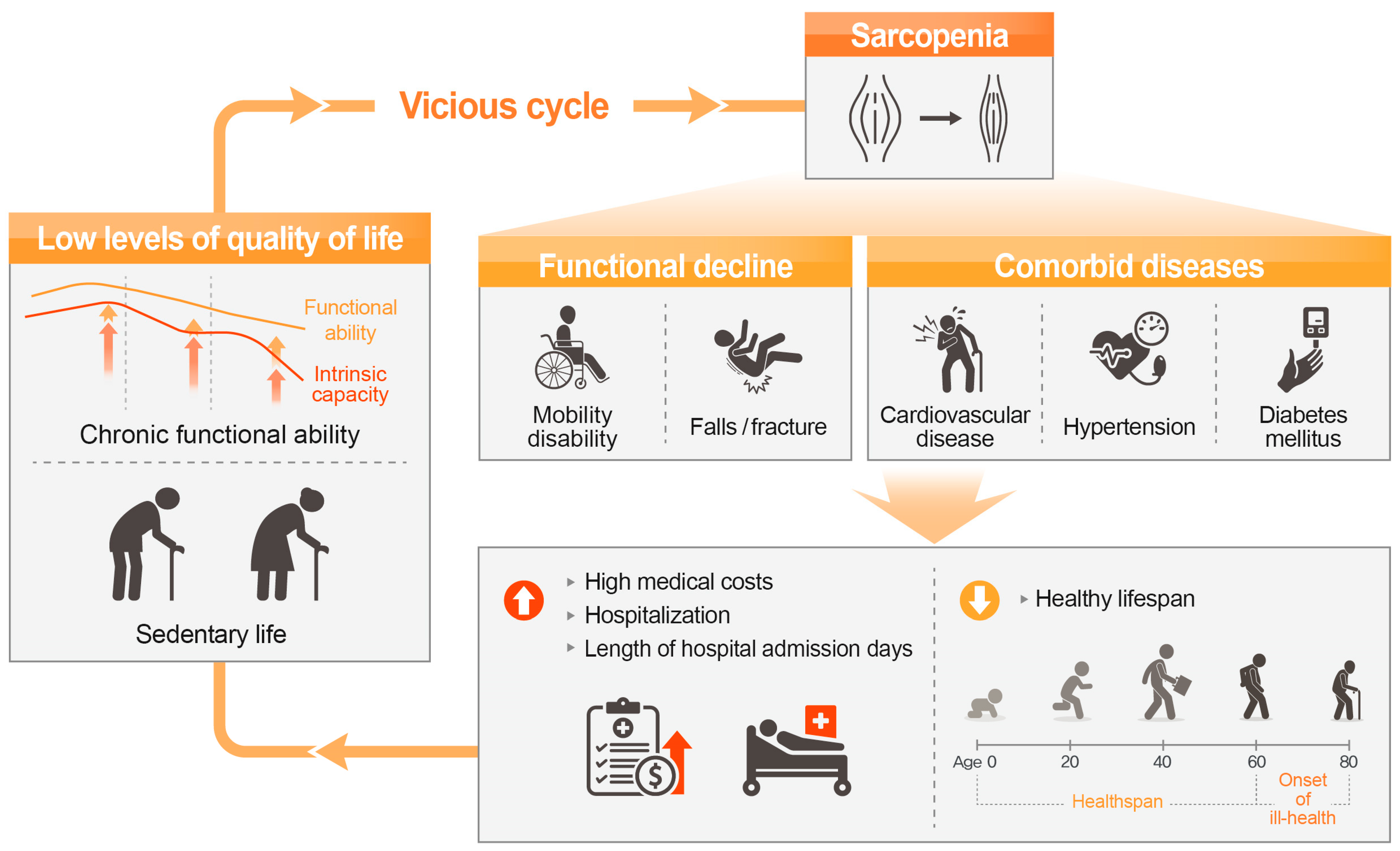 Nutrients 15 02625 g002 Nutrients 15 02625 g002
