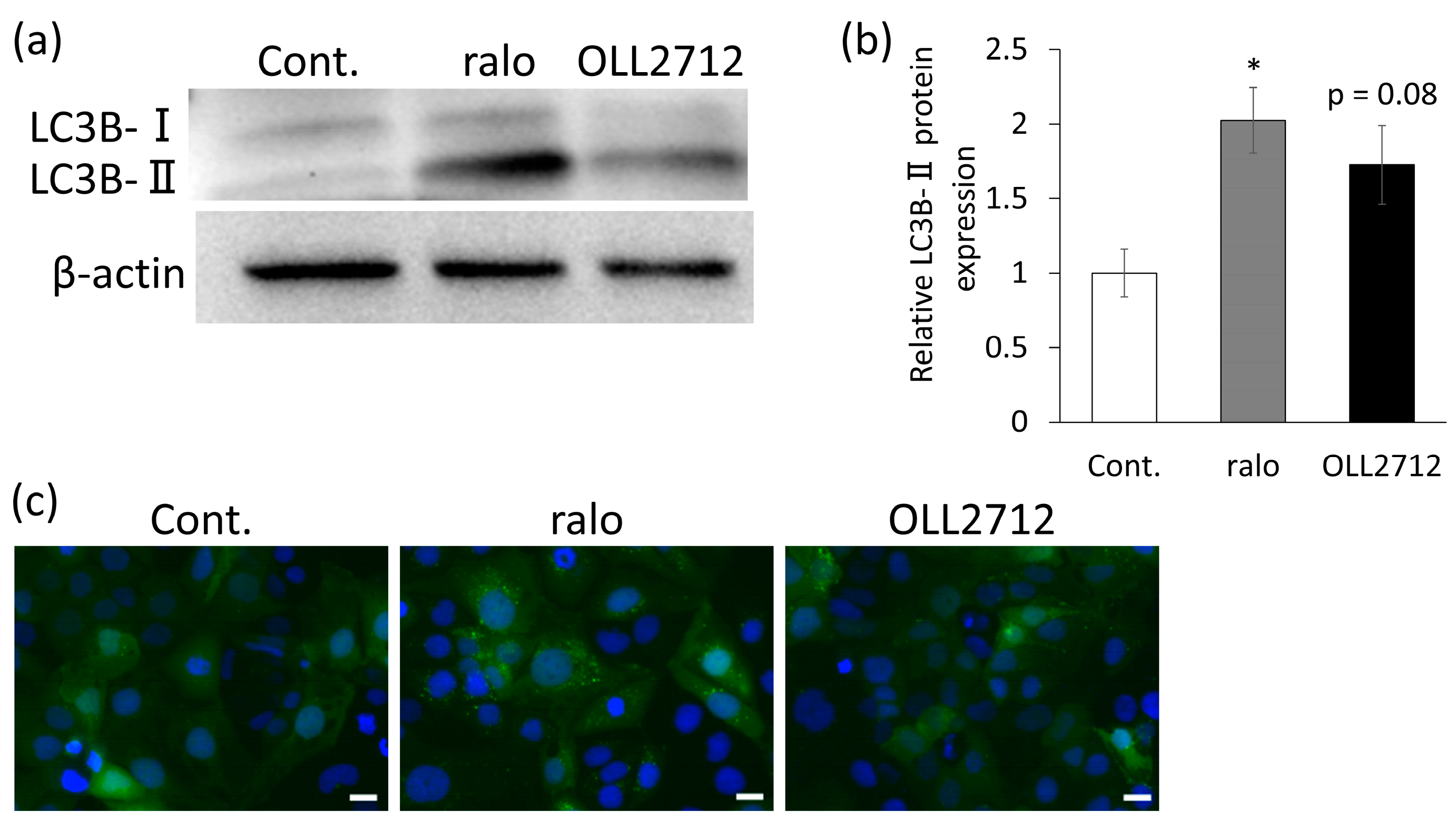 Nutrients 15 02655 g002 Nutrients 15 02655 g002